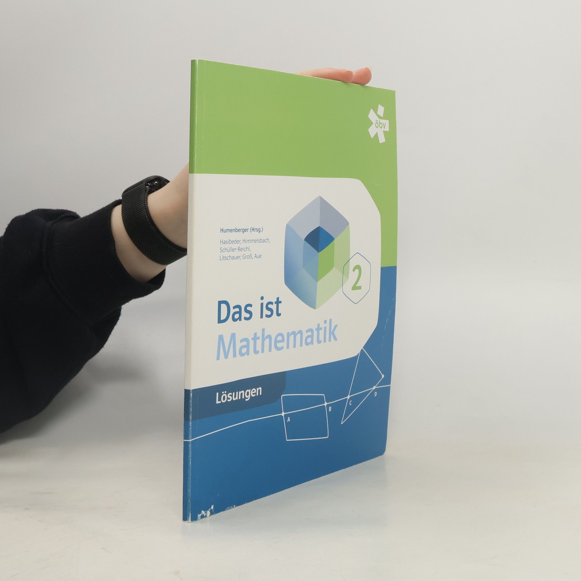 Kolektív autorov Das ist Mathematik. Lösungen