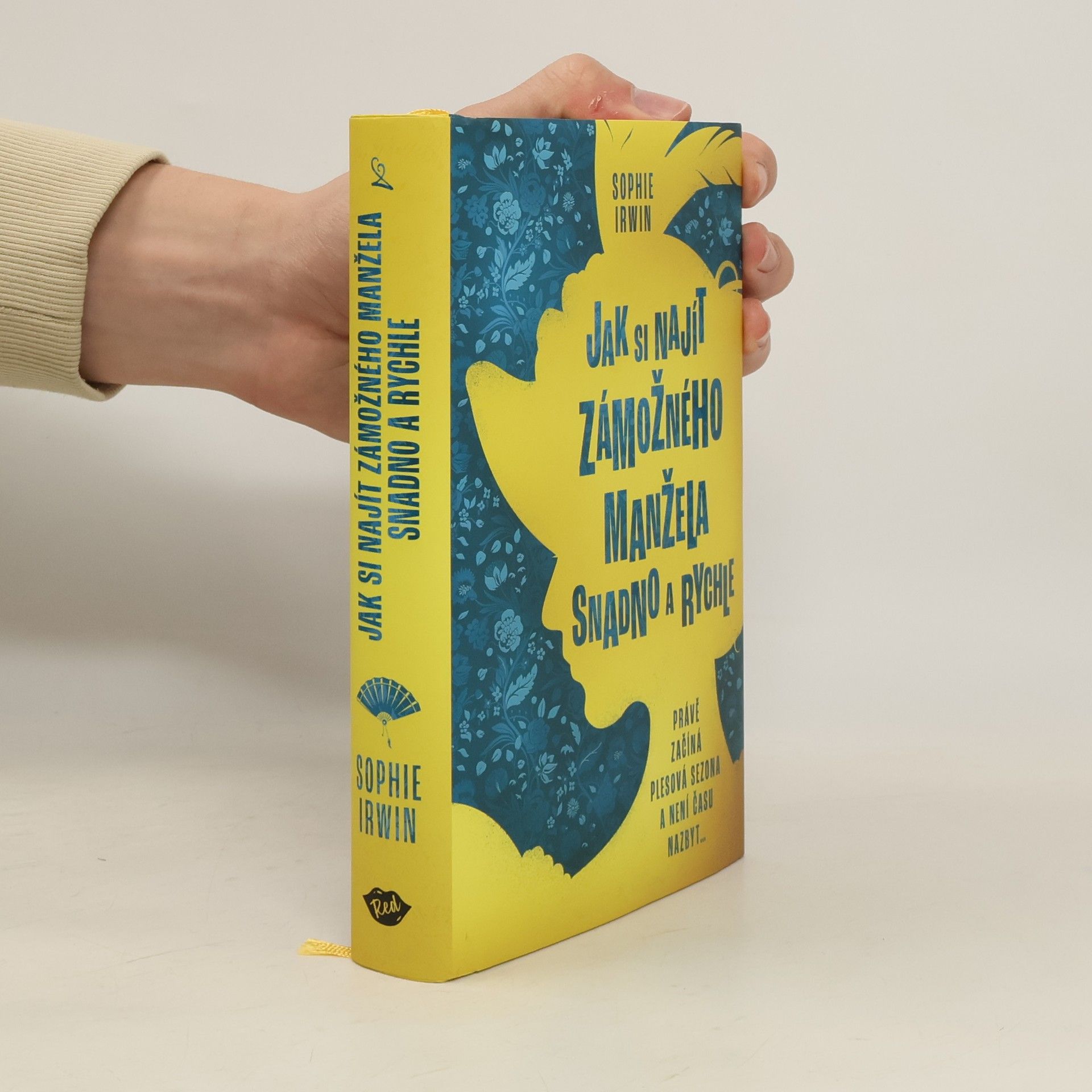 Sophie Irwin Jak si najít zámožného manžela snadno a rychle