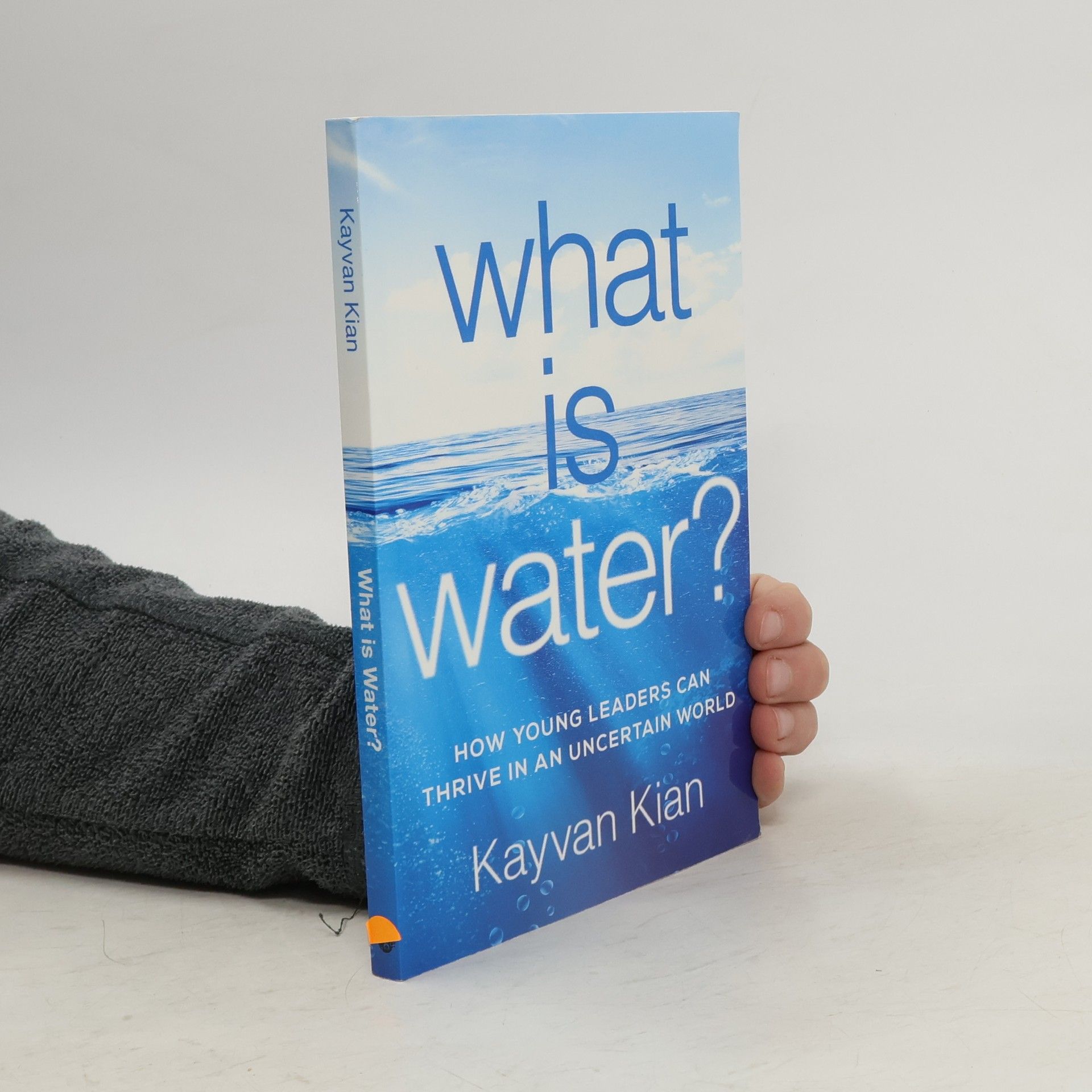 Kayvan Kian What Is Water?