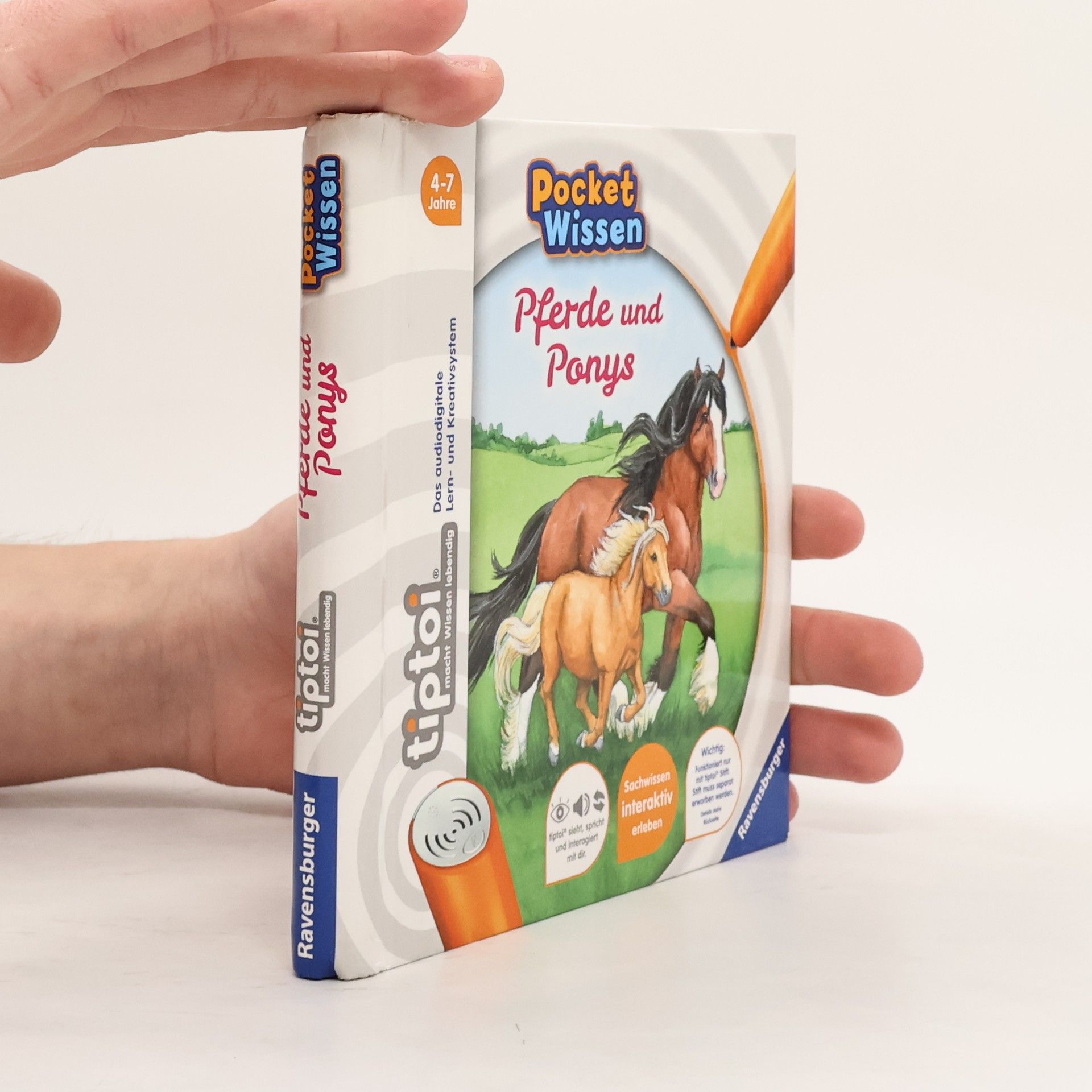 Kolektiv autorů Pocket Wissen. Pferde und Ponys