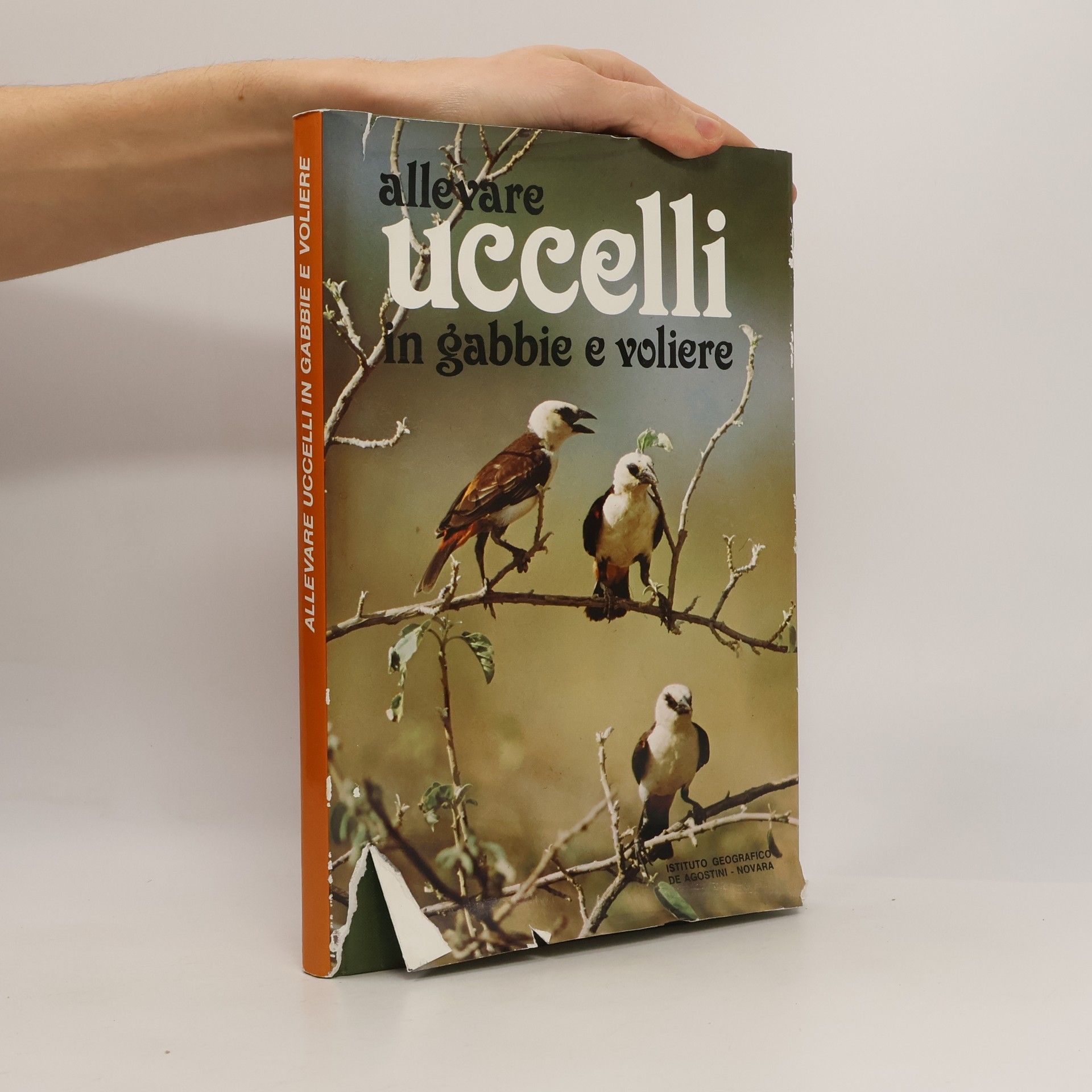 Sergio Frugis Allevare uccelli in gabbie e voliere