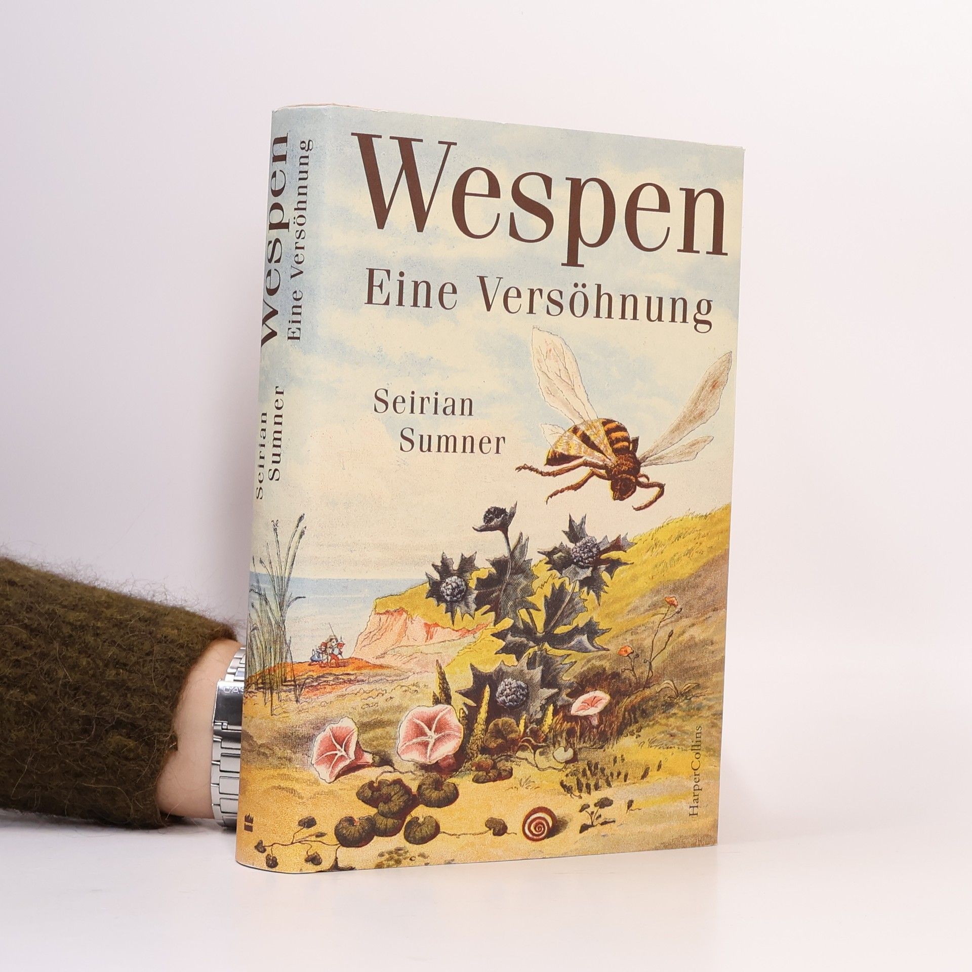 Seirian Sumner Wespen – Eine Versöhnung