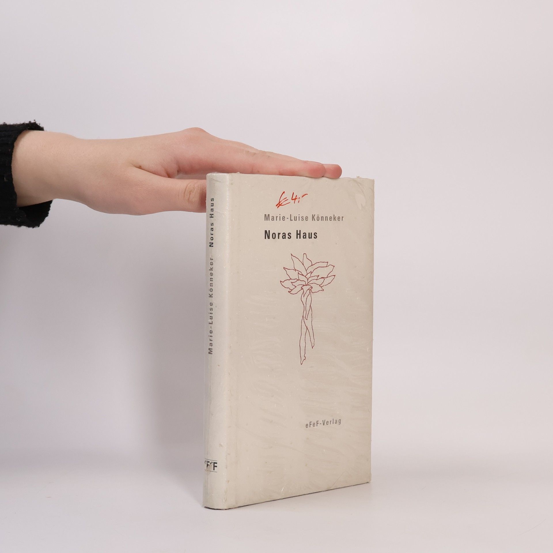 Marie-Luise Könneker Noras Haus