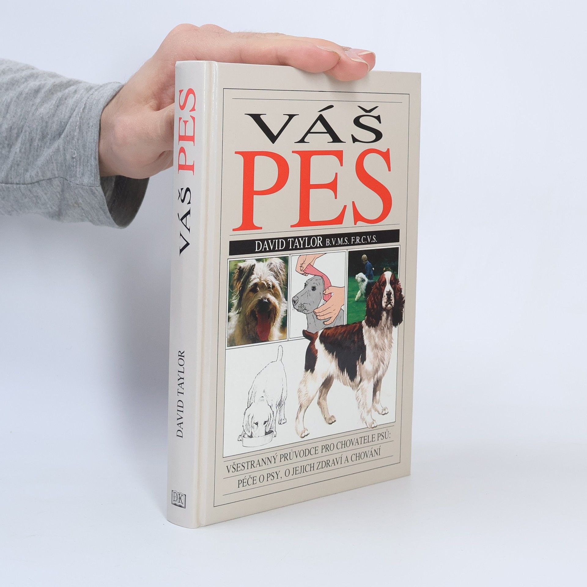 David Conrad Taylor Váš pes