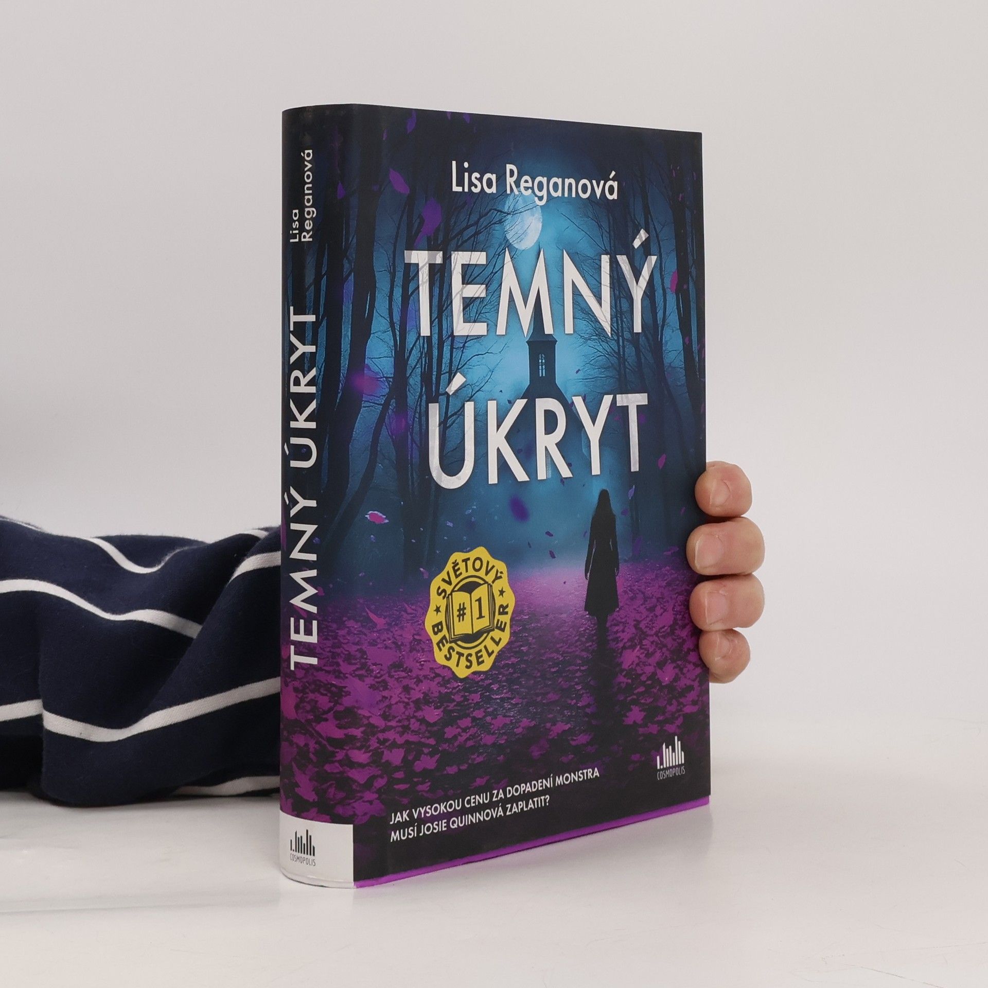 Lisa Regan Temný úkryt