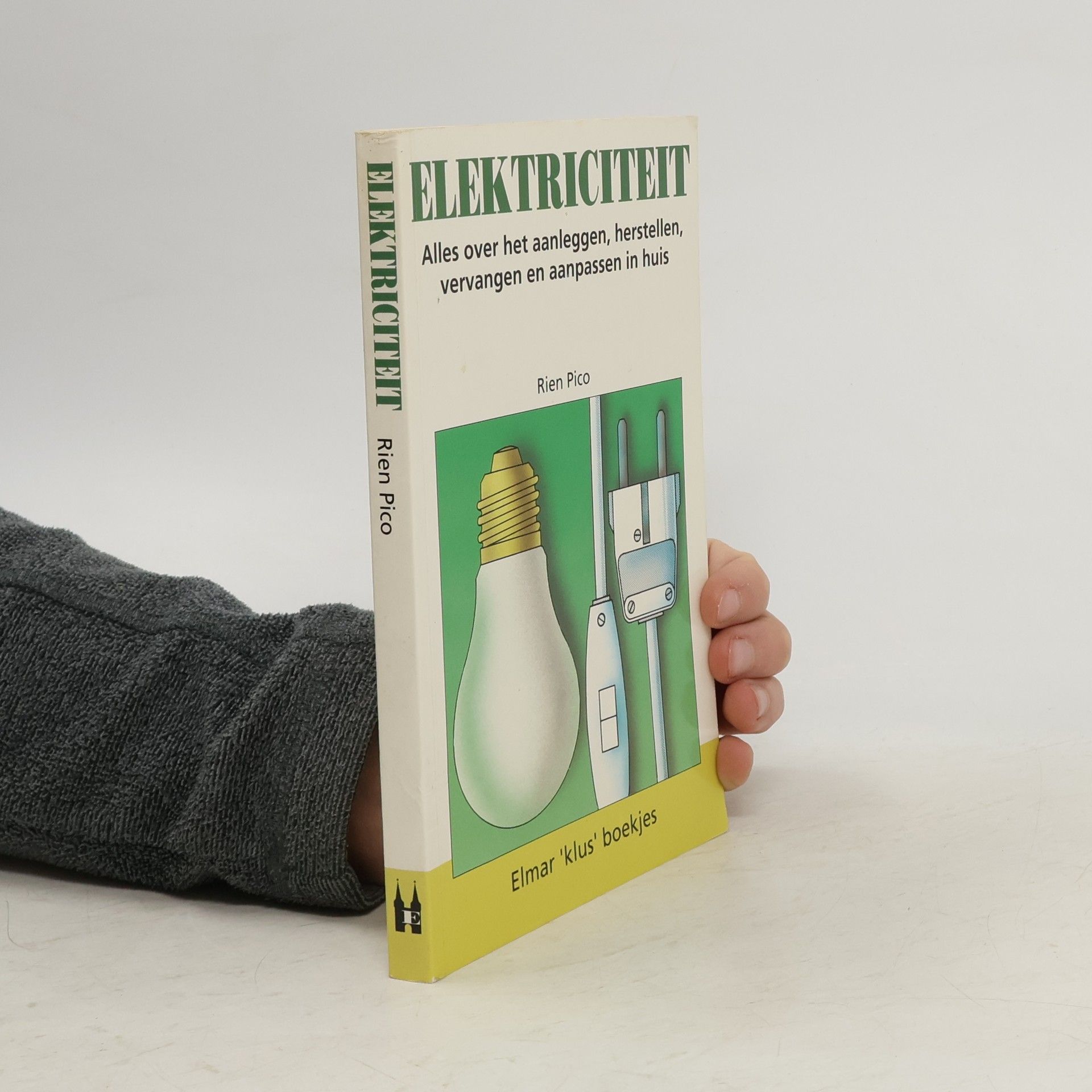 Rien Pico Elektriciteit