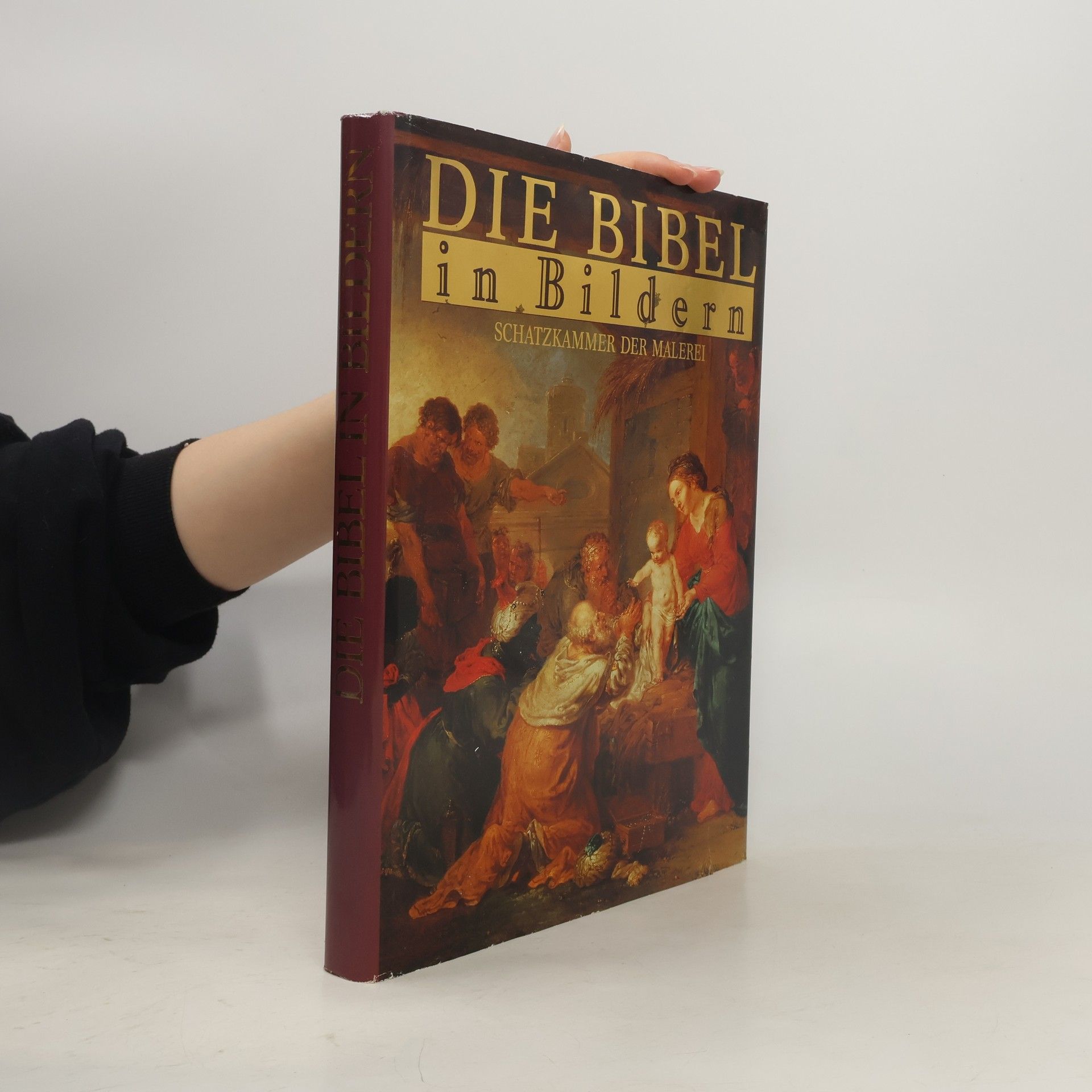 Autorenkollektiv Die Bibel in Bildern. Schatzkammer der Malerei