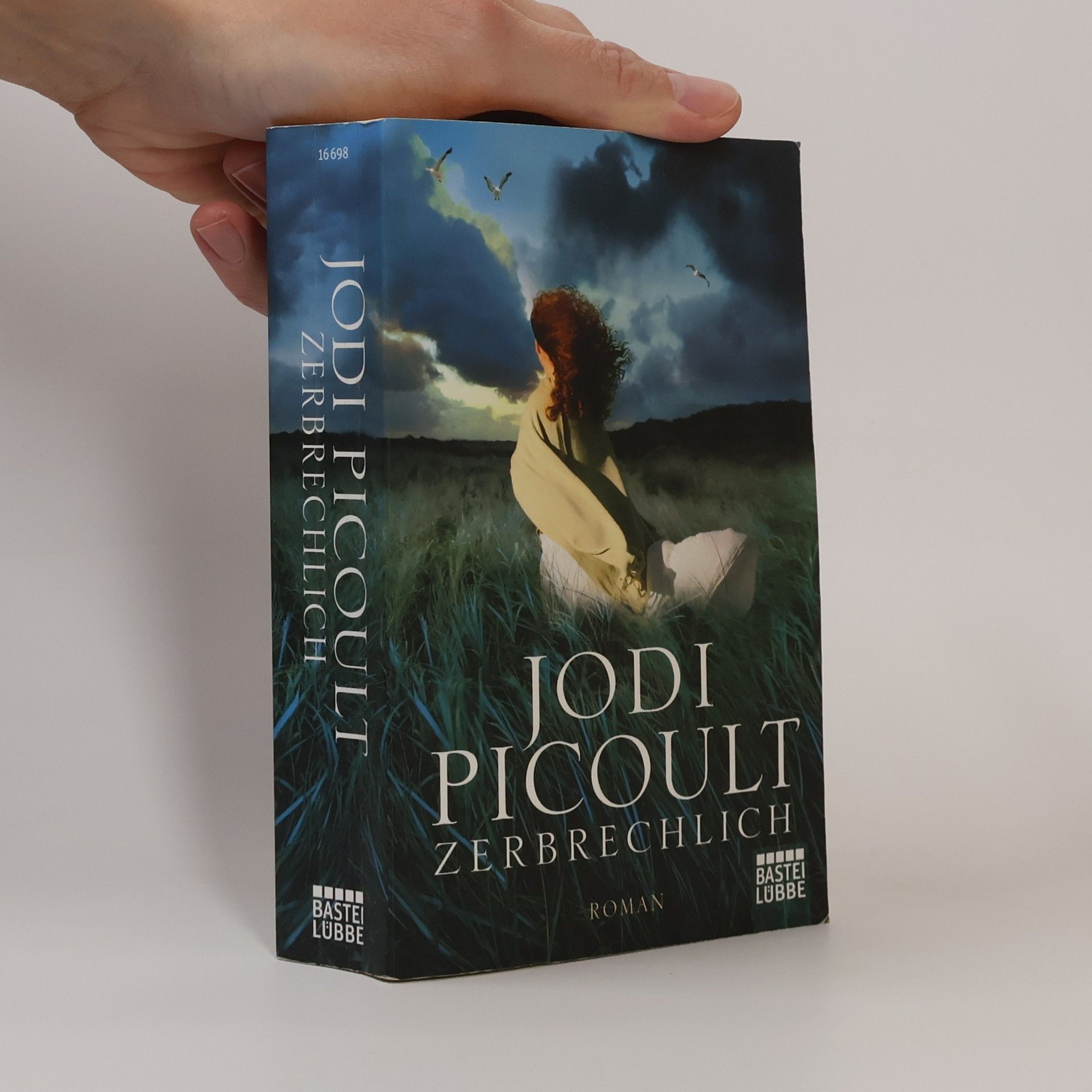 Jodi Picoult Zerbrechlich