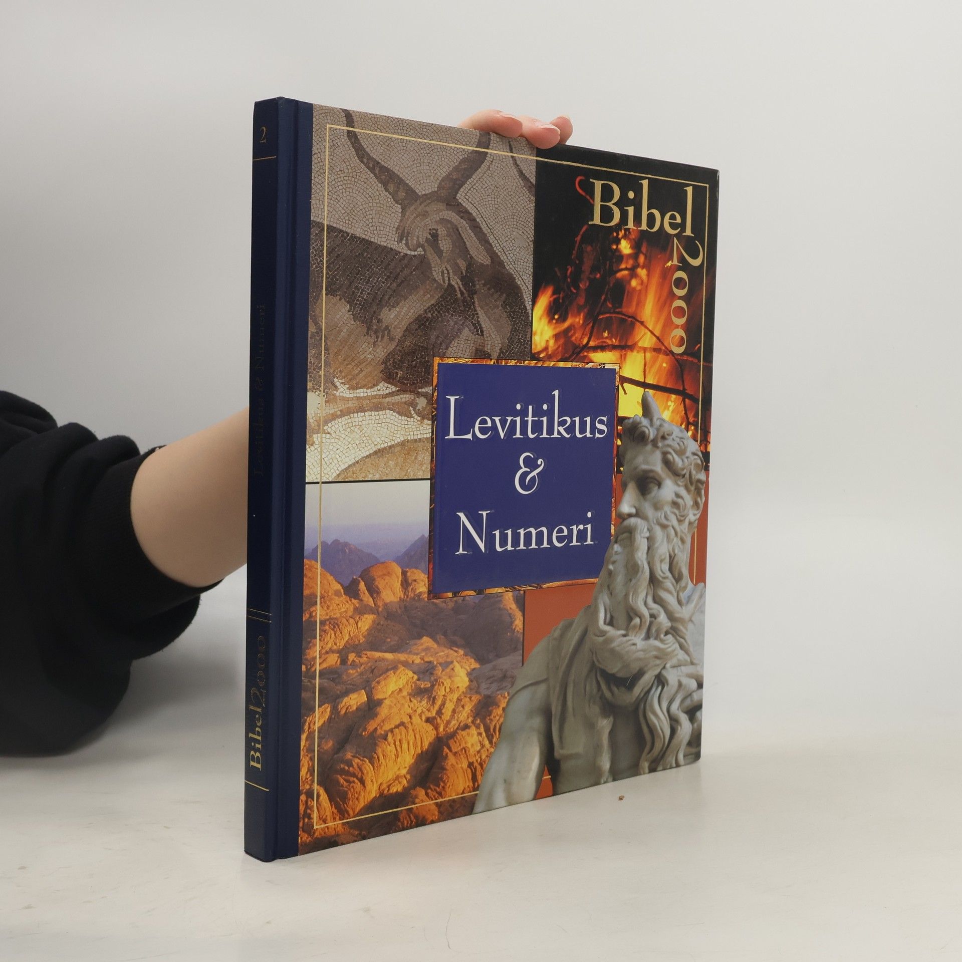 Collectif d'auteurs Bibel 2000. Lukas & Johannes