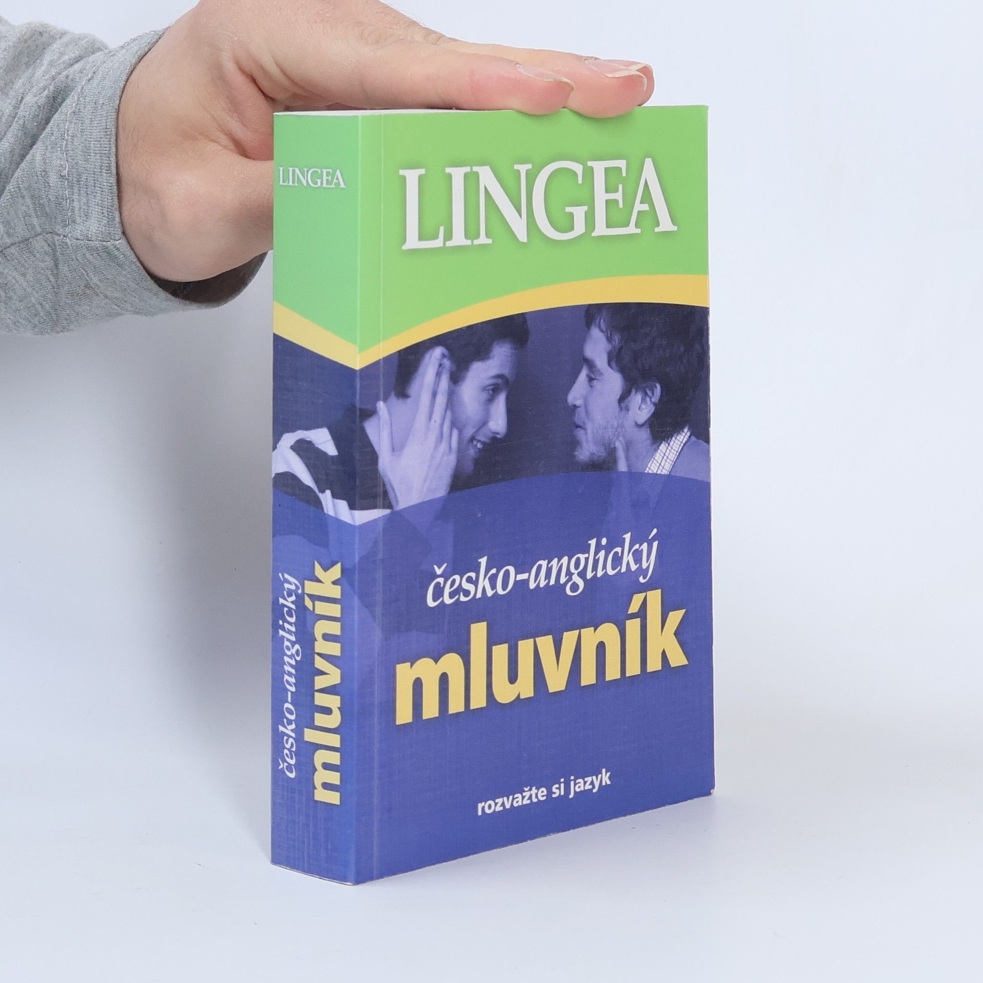 Kolektív autorov Česko-anglický mluvník