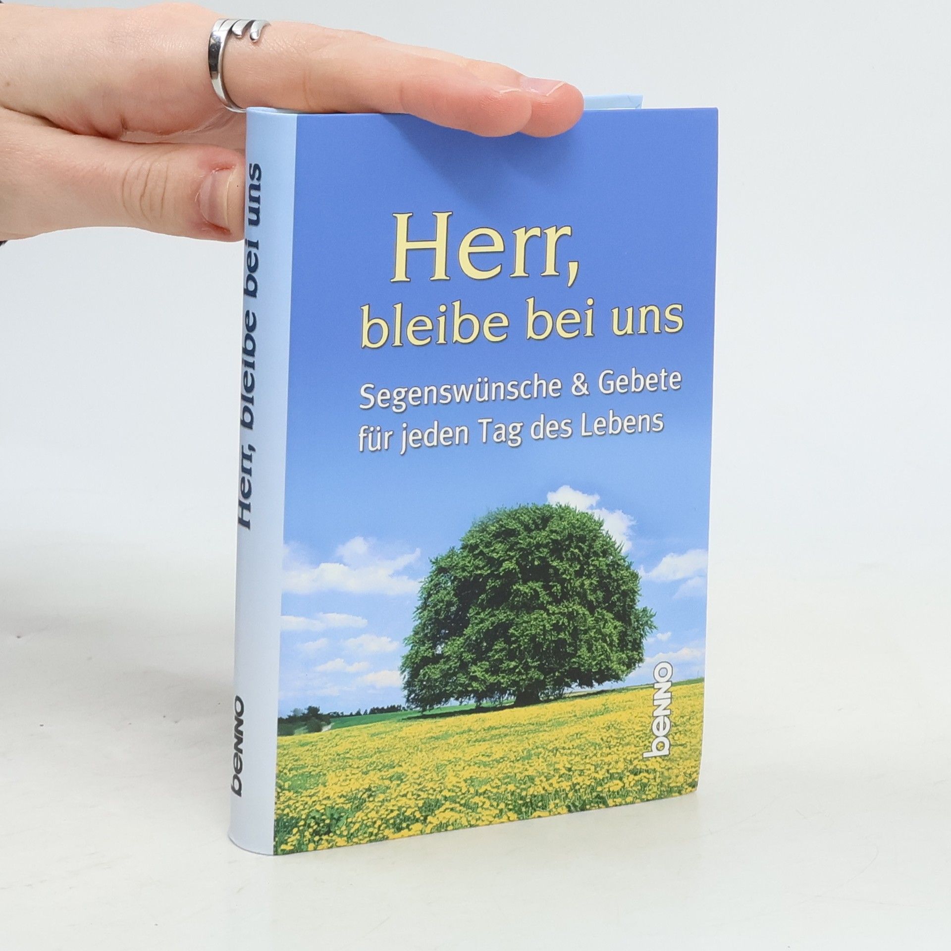 Annegret Kokschal Herr, bleibe bei uns