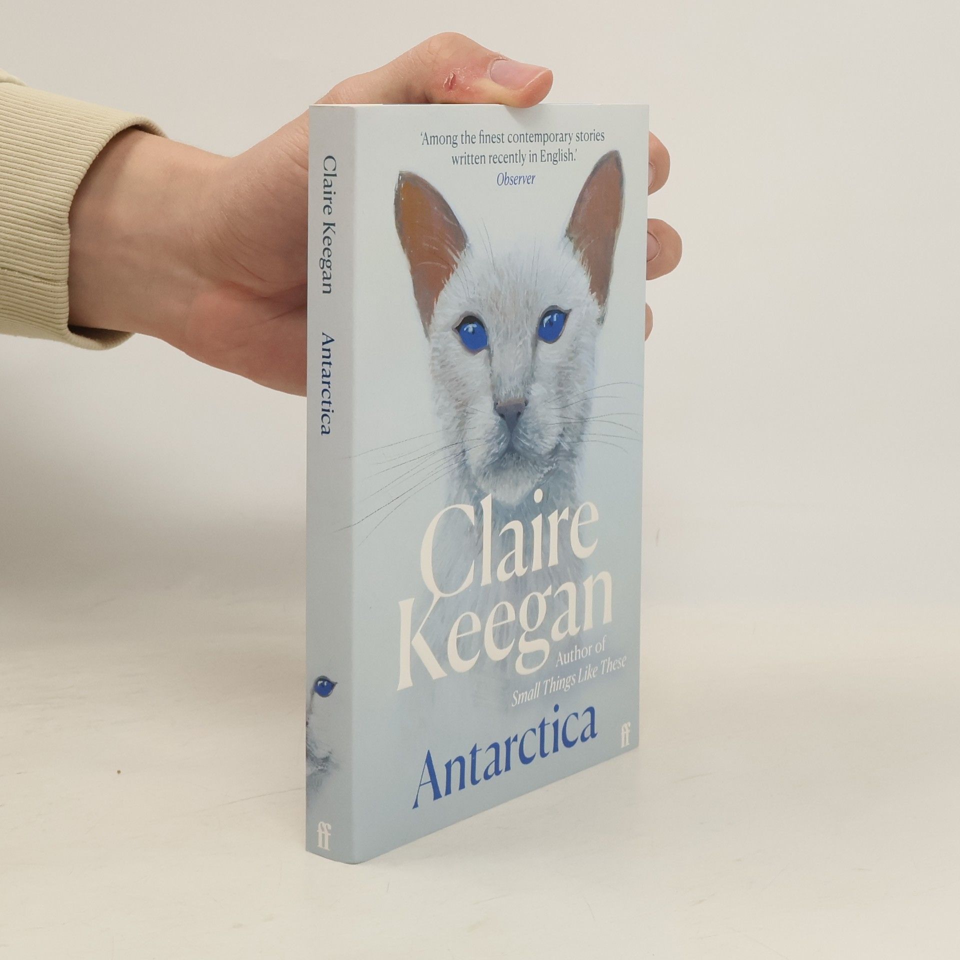 Claire Keegan Antarctica