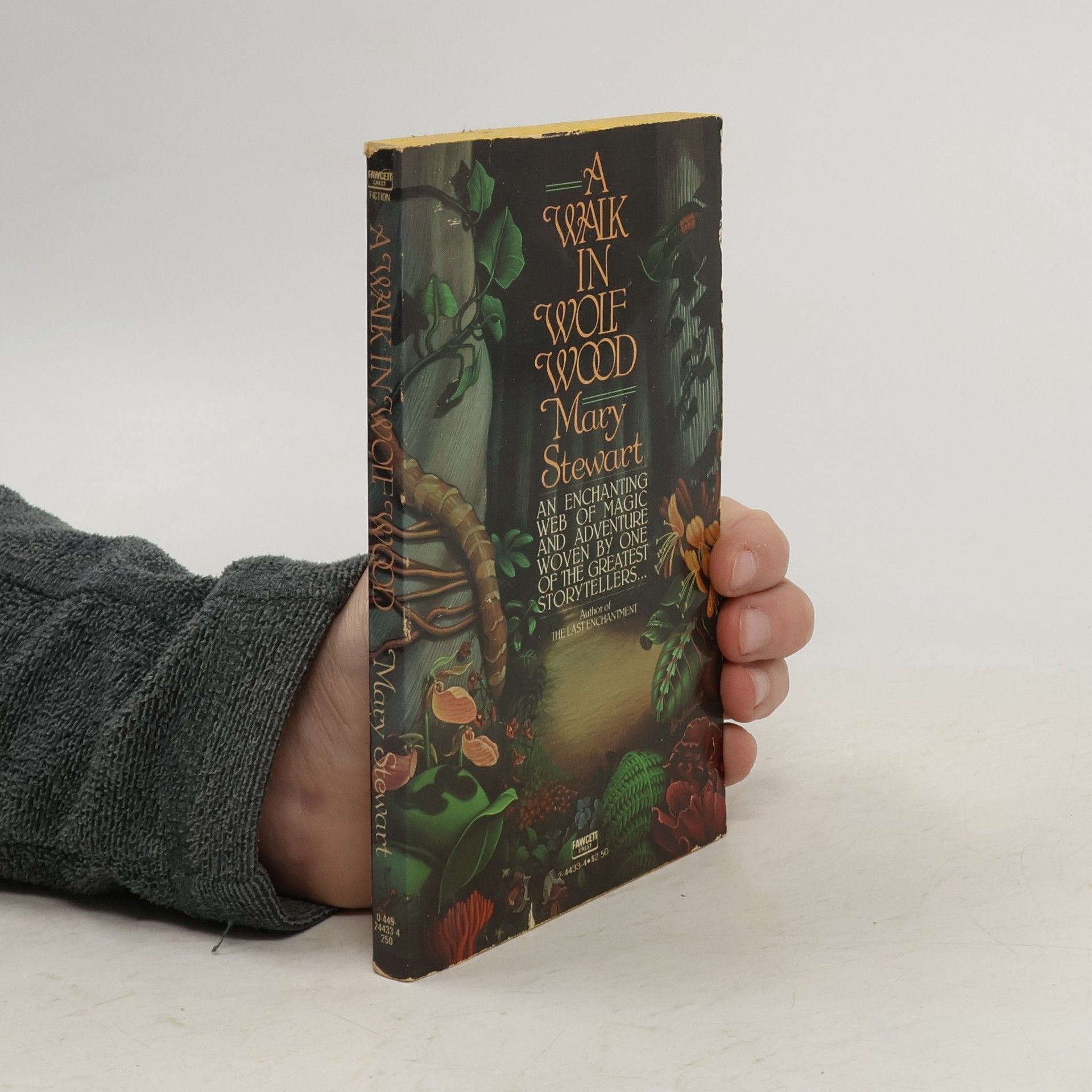 Mary Stewart A Walk in Wolf Wood