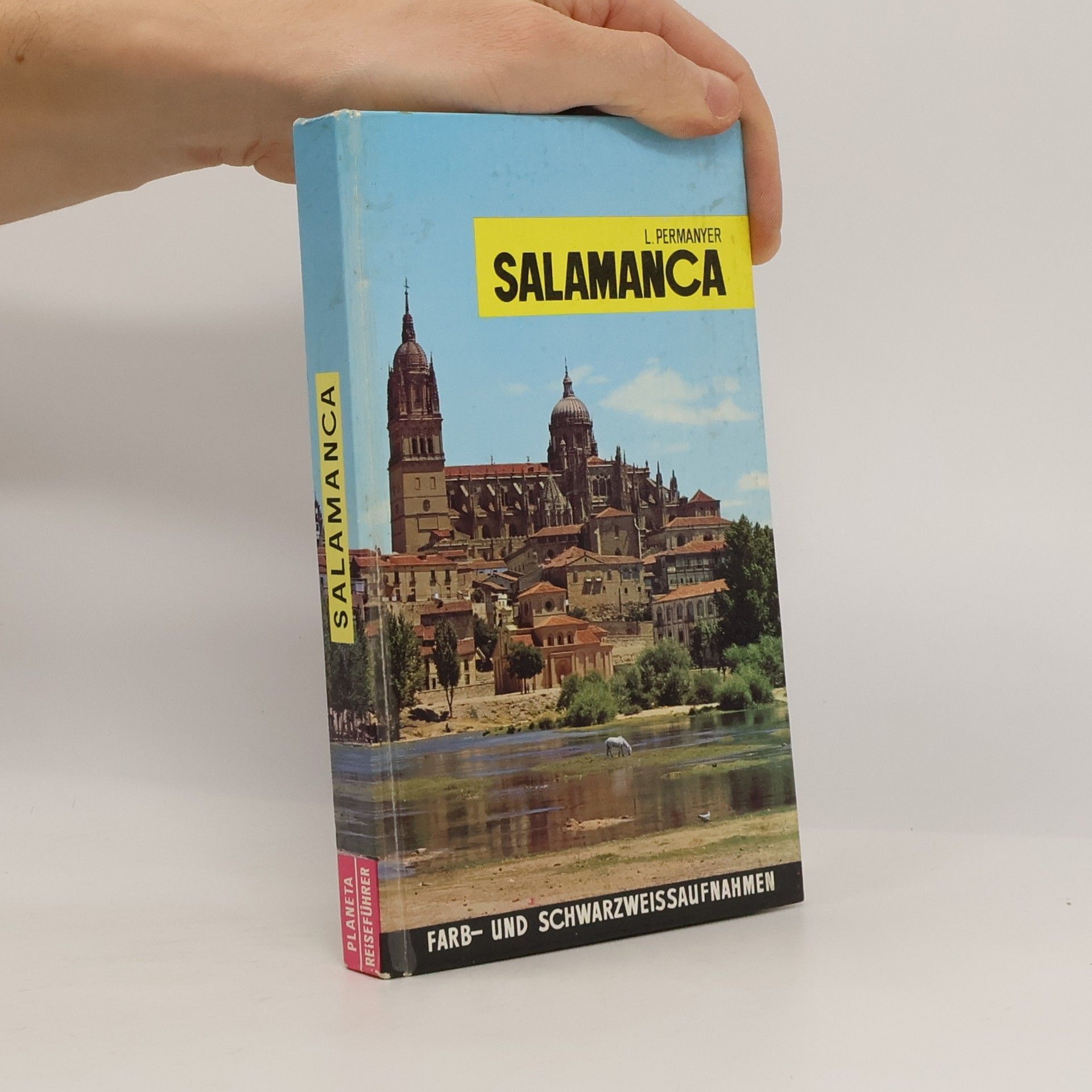 L. Permanyer Salamanca