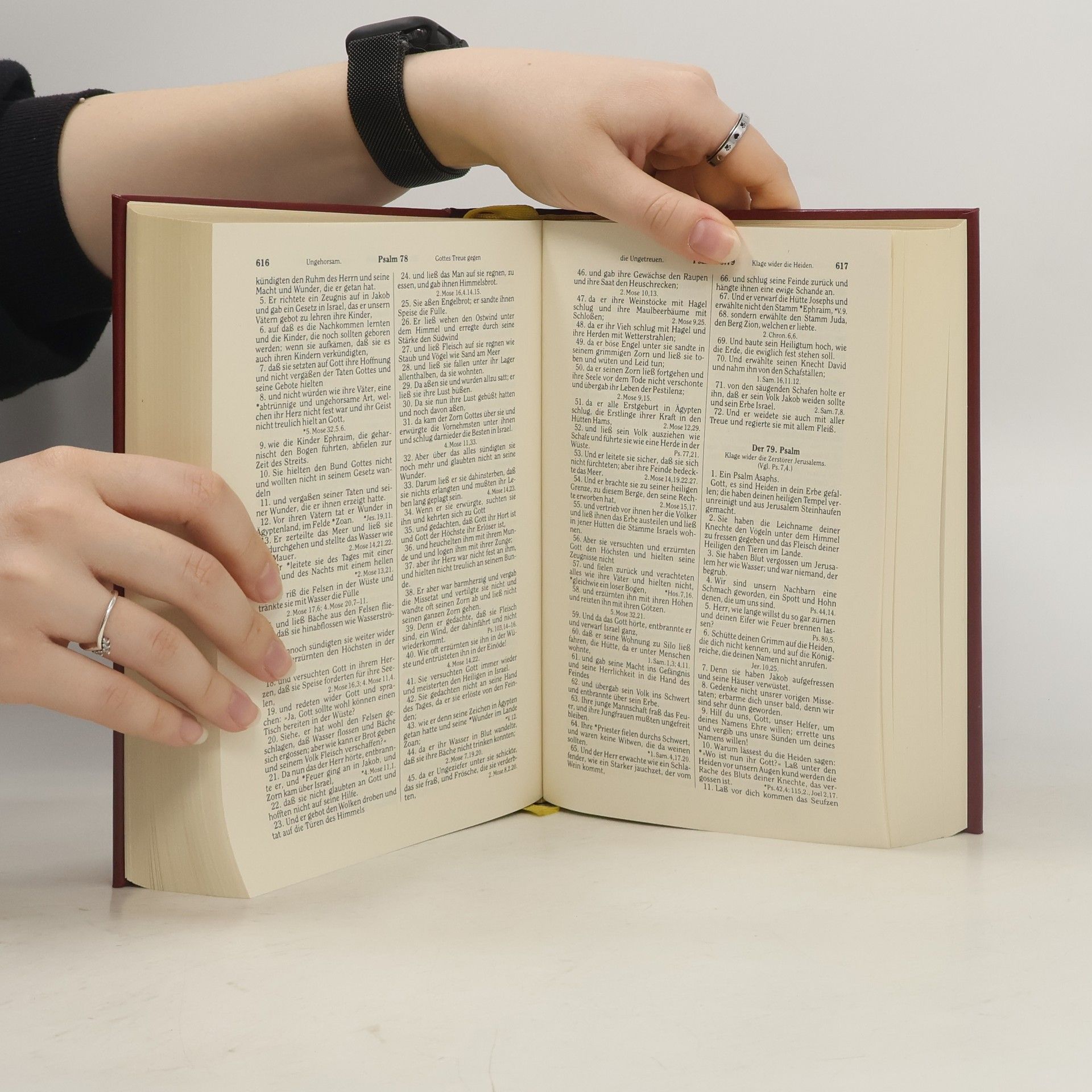 anonym Die Bibel