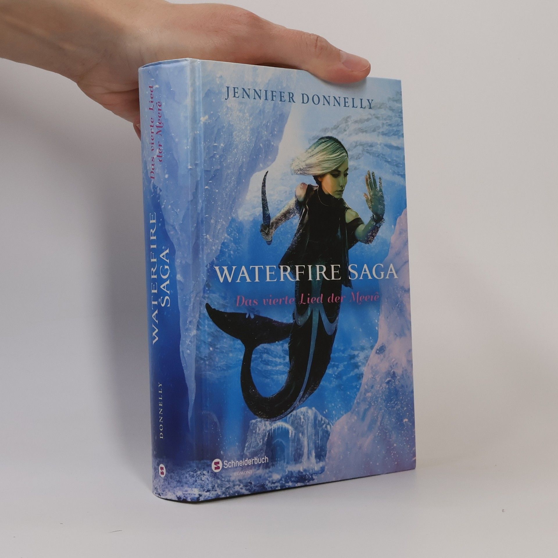 Jennifer Donnelly Waterfire Saga