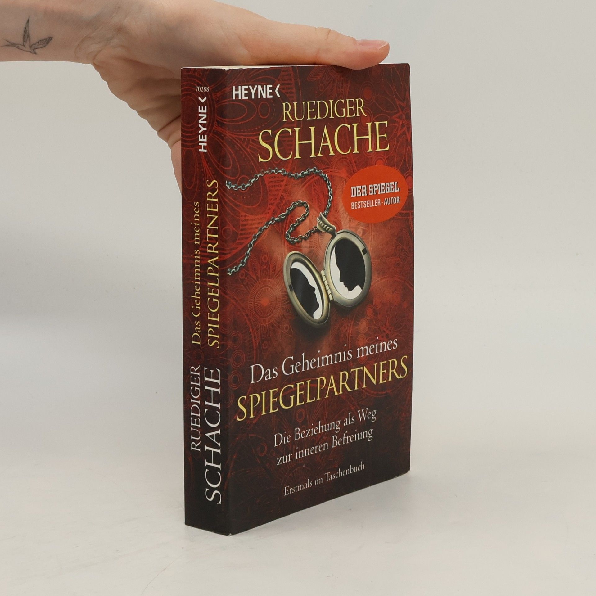 Ruediger Schache Das Geheimnis meines Spiegelpartners