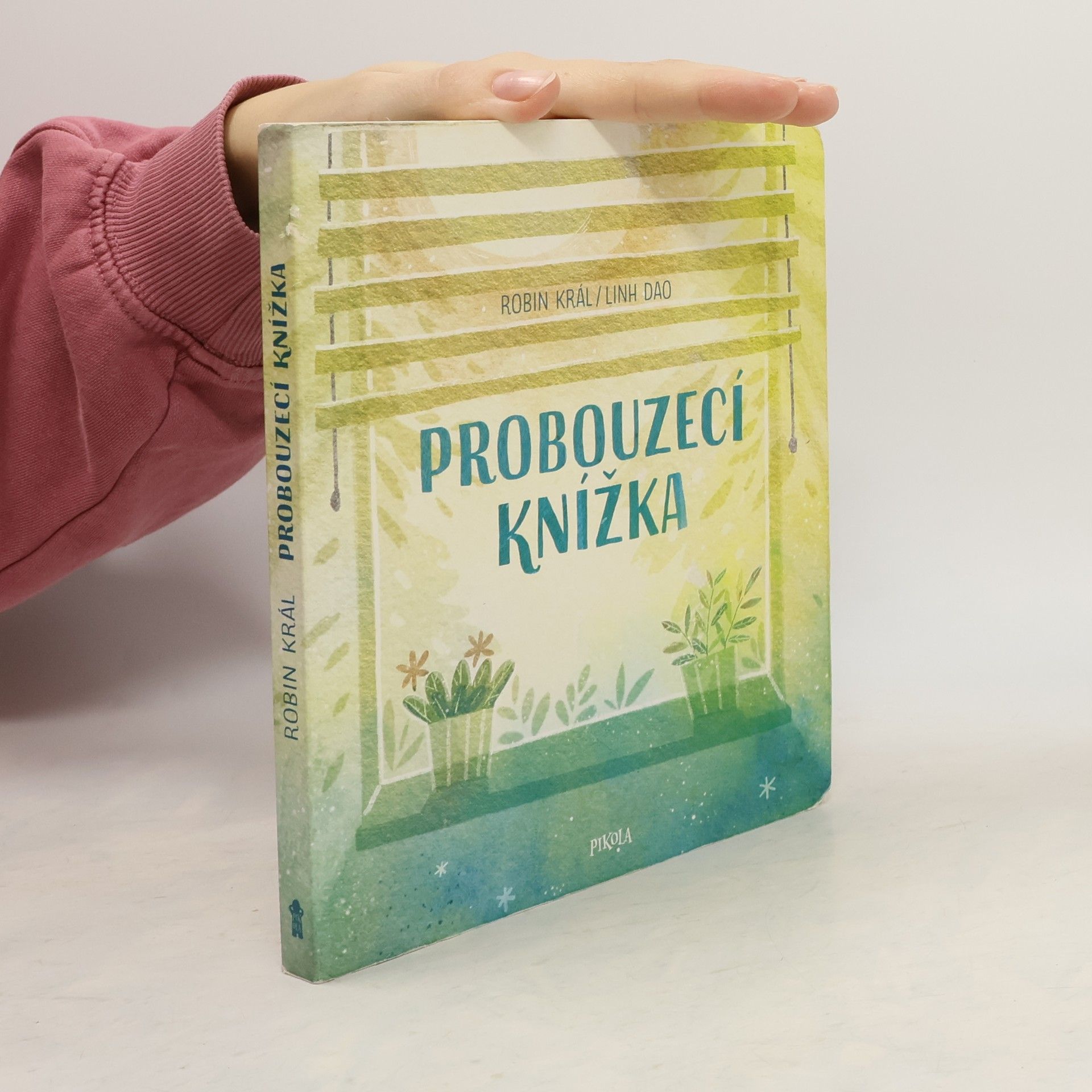 Robin Král Probouzecí knížka