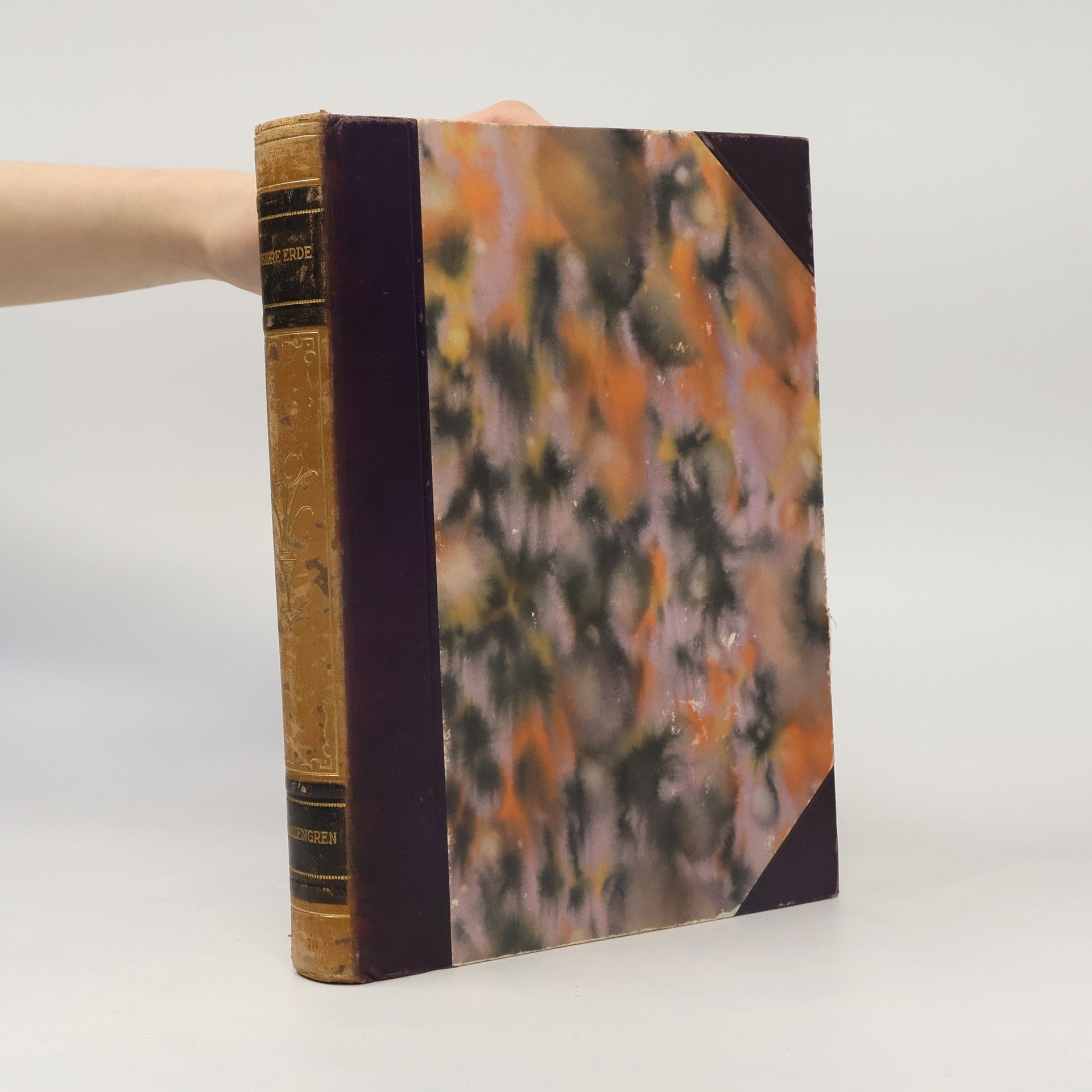 Hans Wallengren Populärwissenschaftliche Serie. Unsere Erde