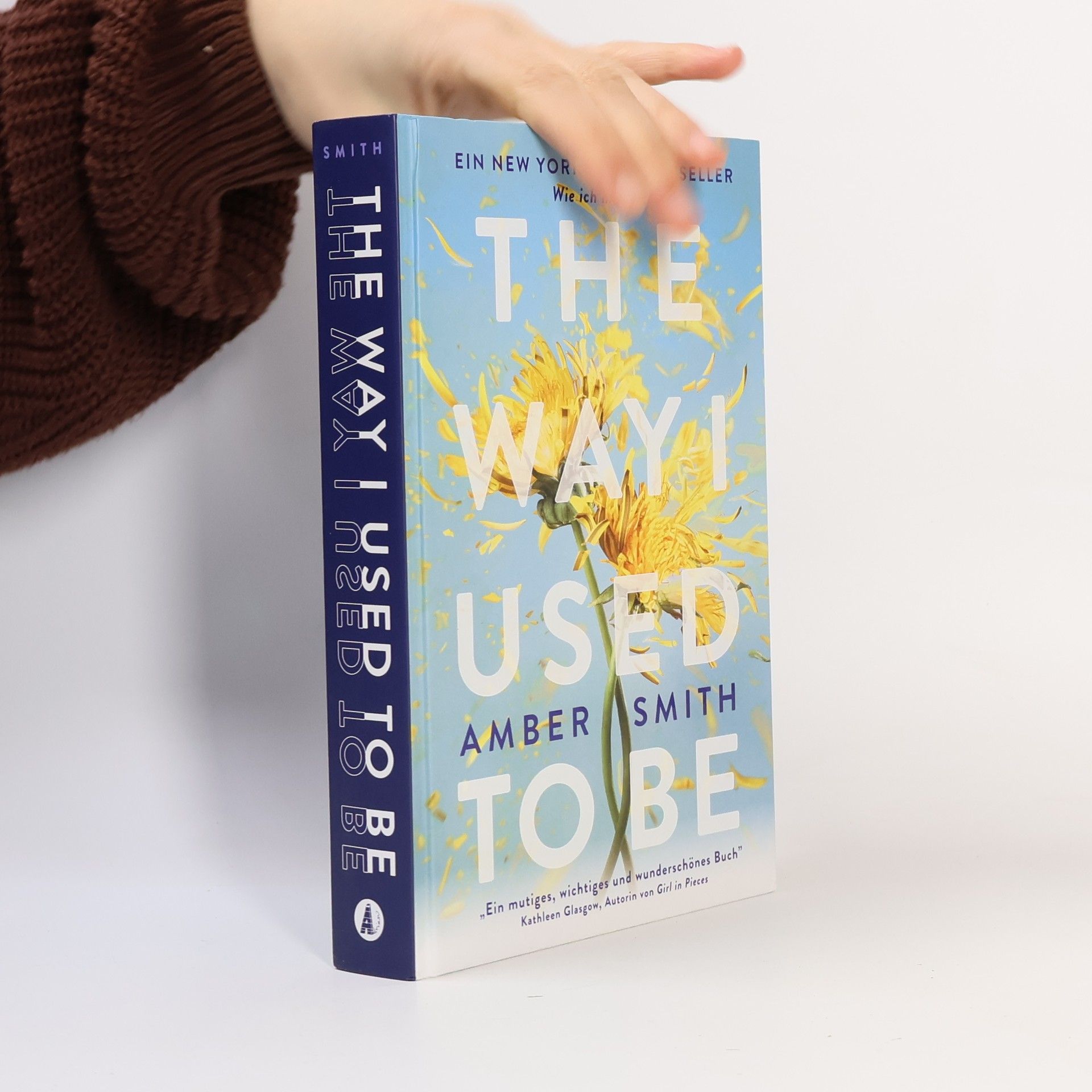 Amber Smith Wie ich mal war. The Way I Used to Be