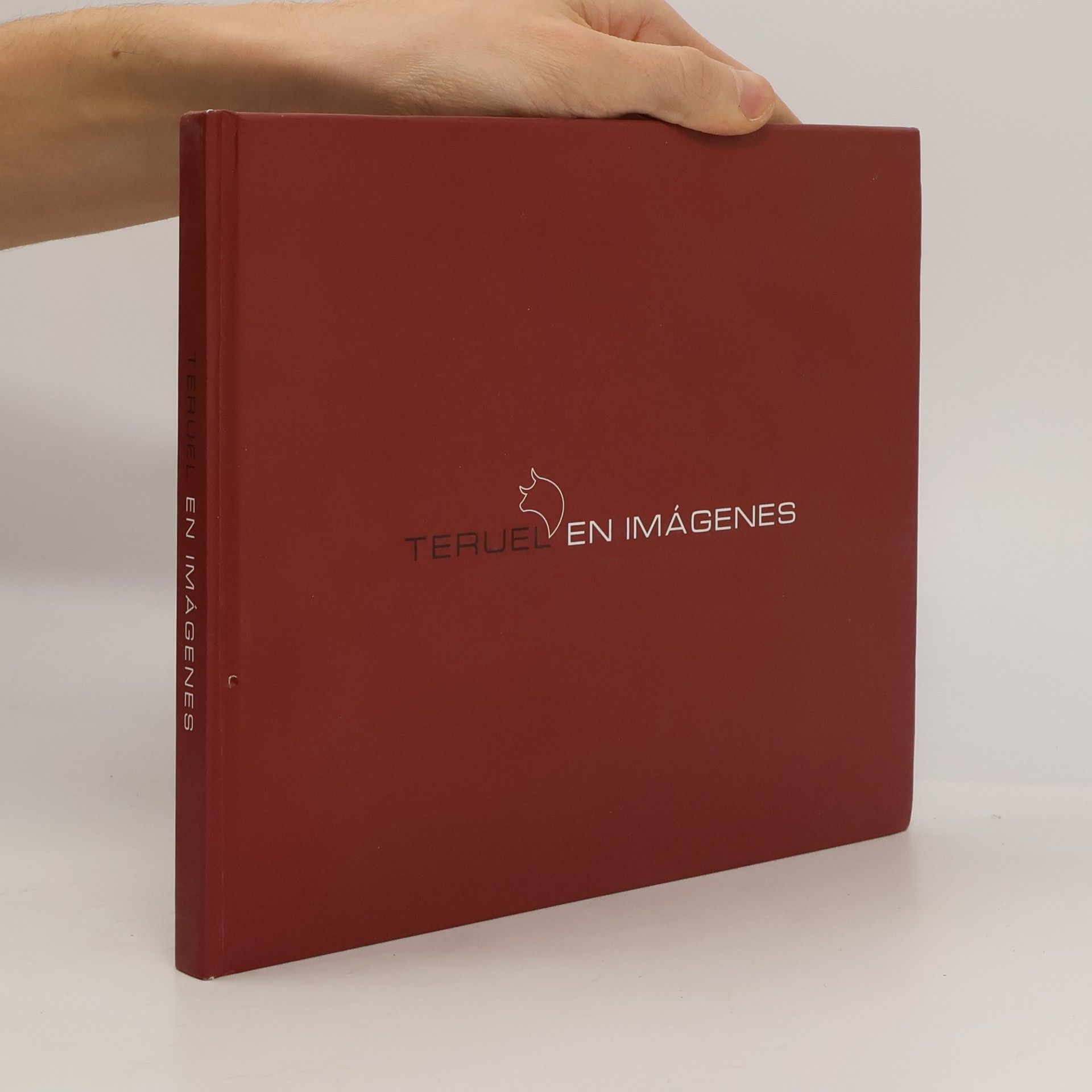 Autorenkollektiv Teruel en Imágenes