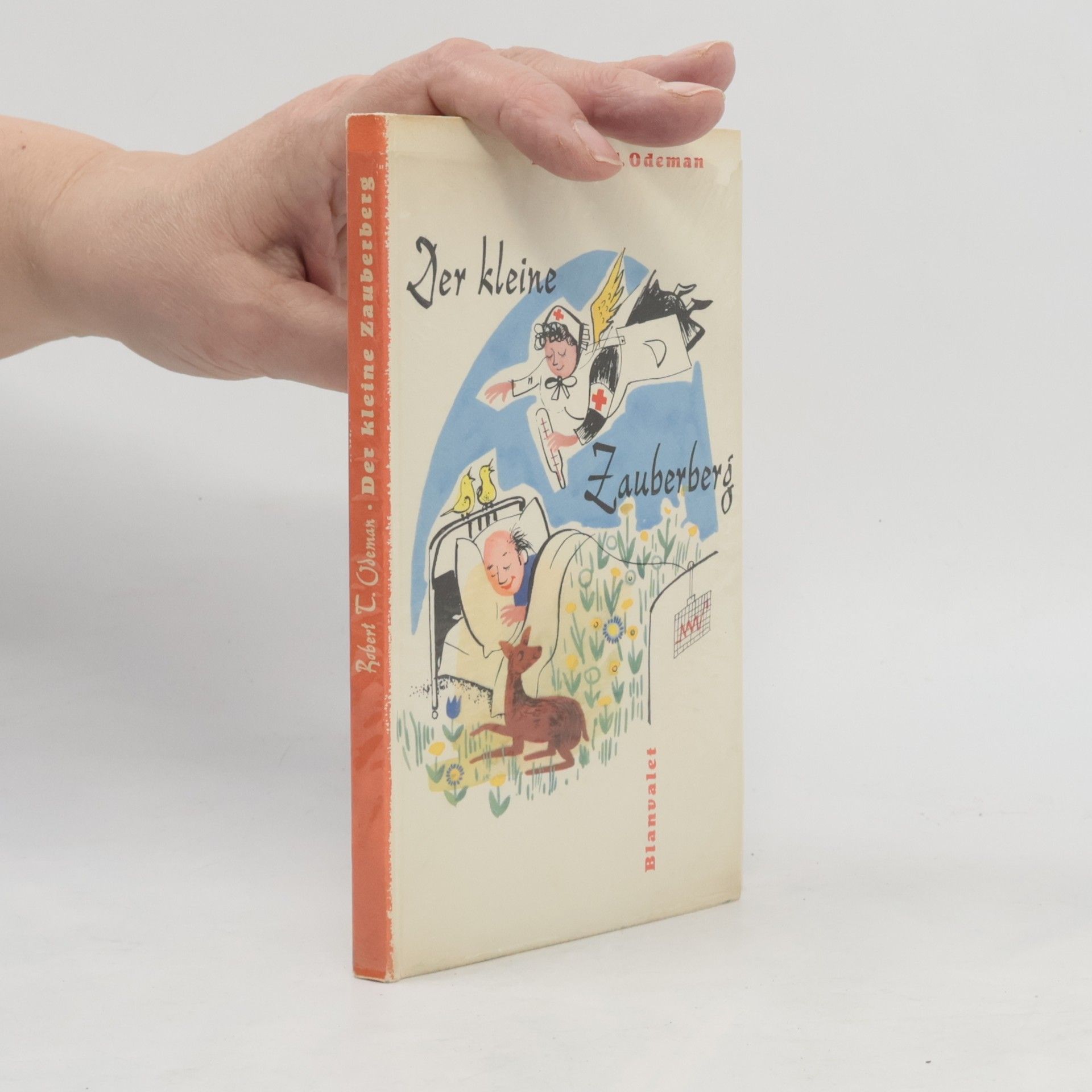 Robert T. Odeman Der kleine Zauberberg