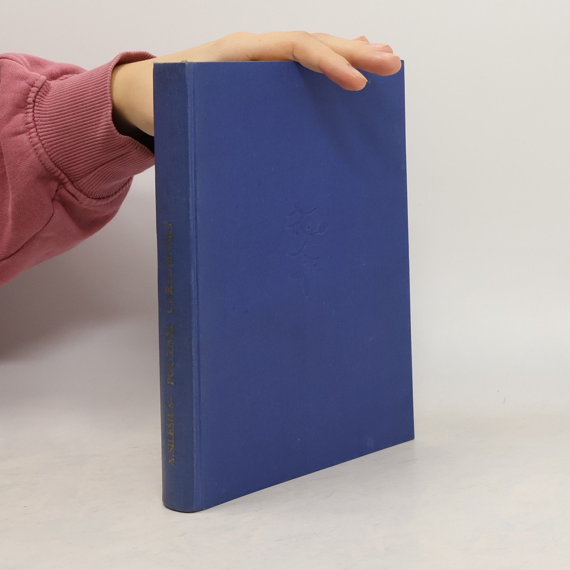 Angelus Silesius Poutník cherubínský