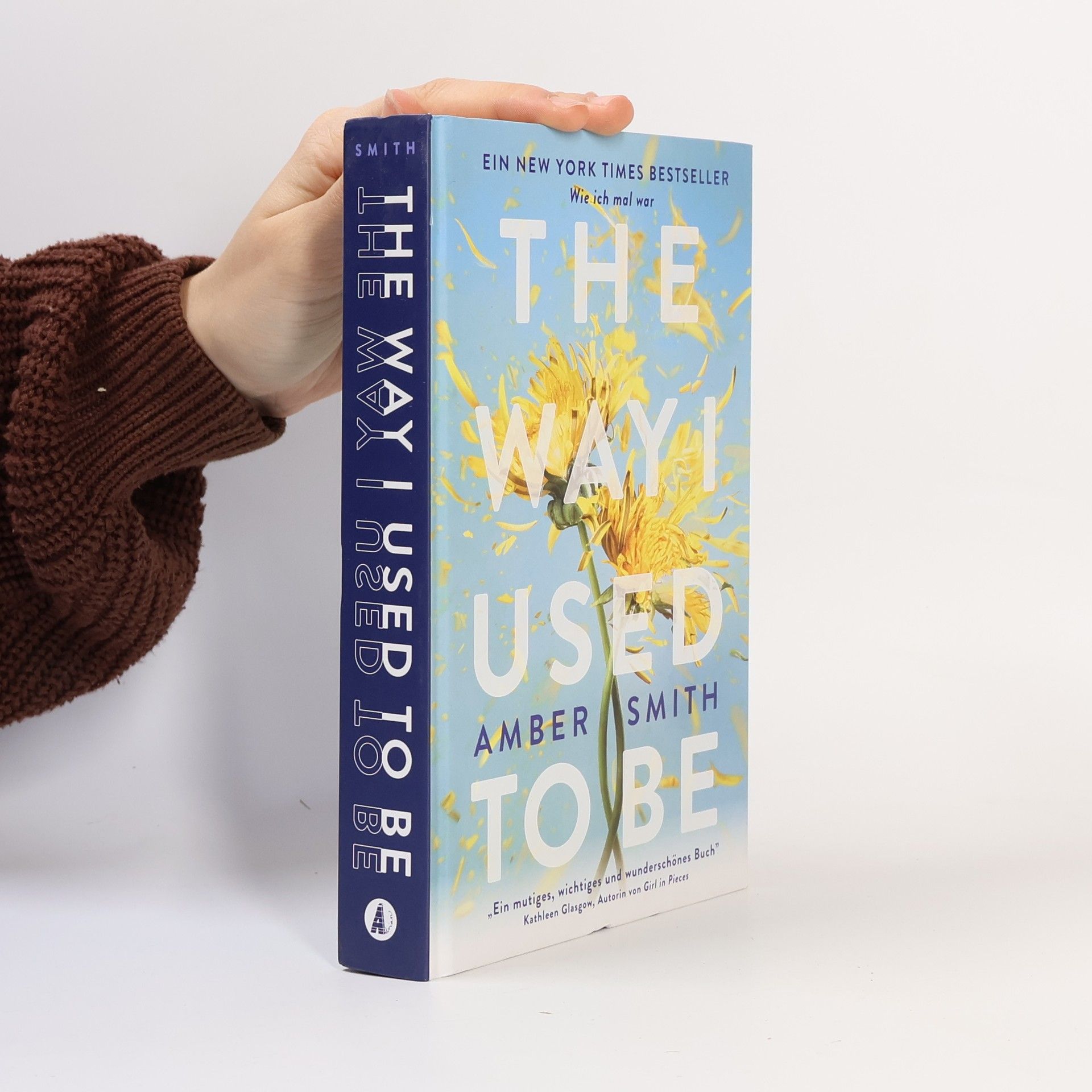 Amber Smith Wie ich mal war. The Way I Used to Be