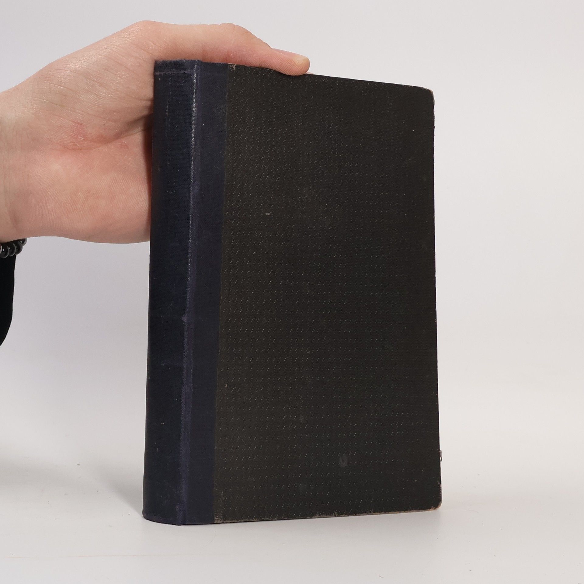 Die letzten Tage der Janitscharen