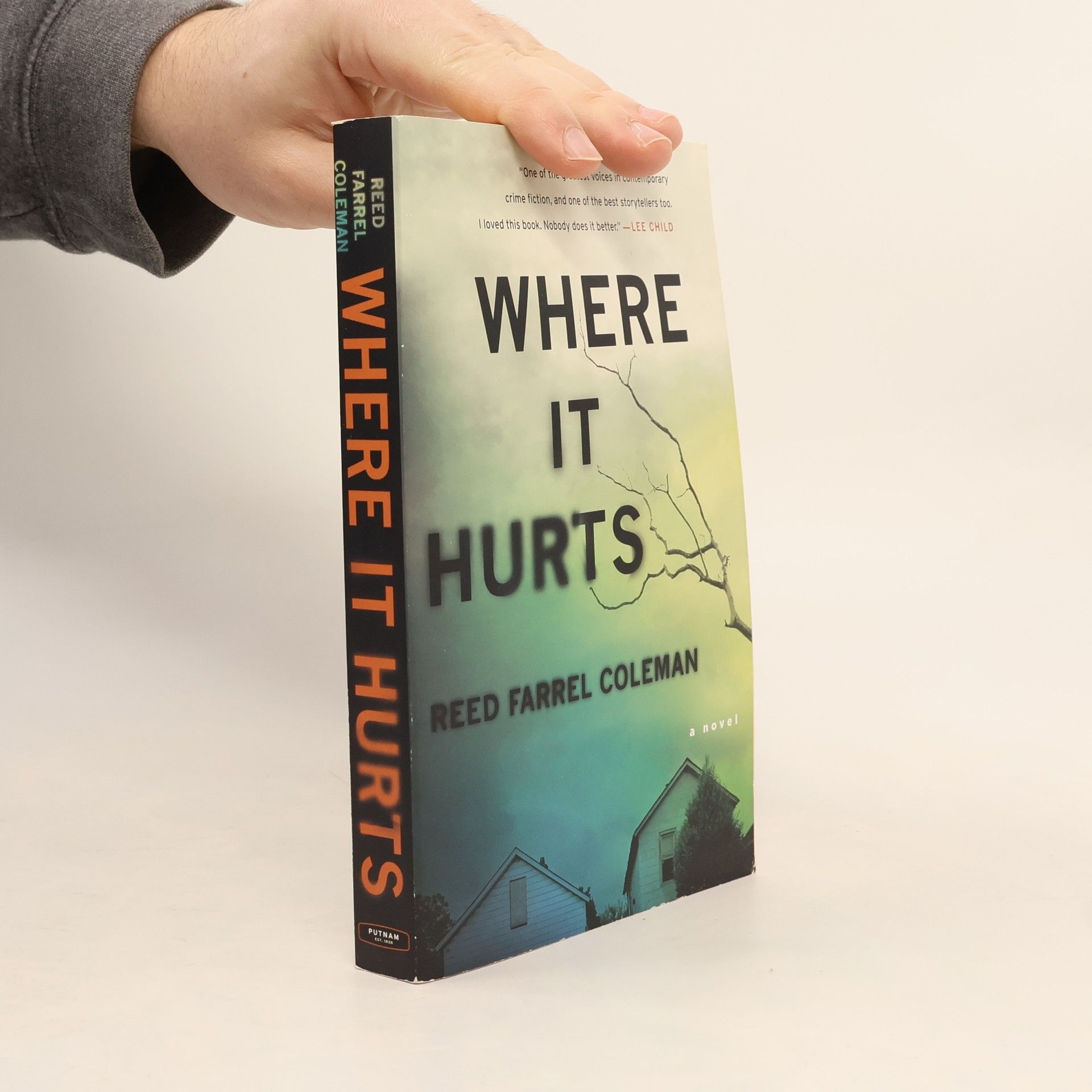 Reed Farrel Coleman Where It Hurts