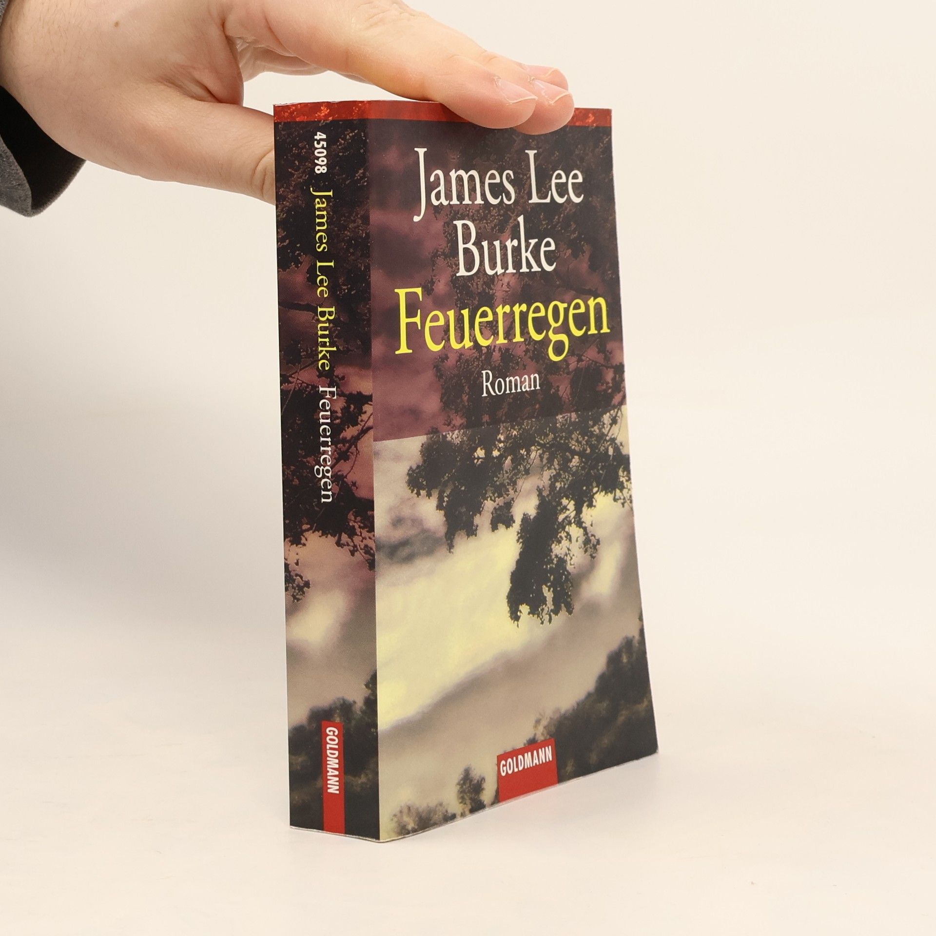 James Lee Burke Feuerregen. Roman. Aus d. Amerikan. v. Georg Schmidt