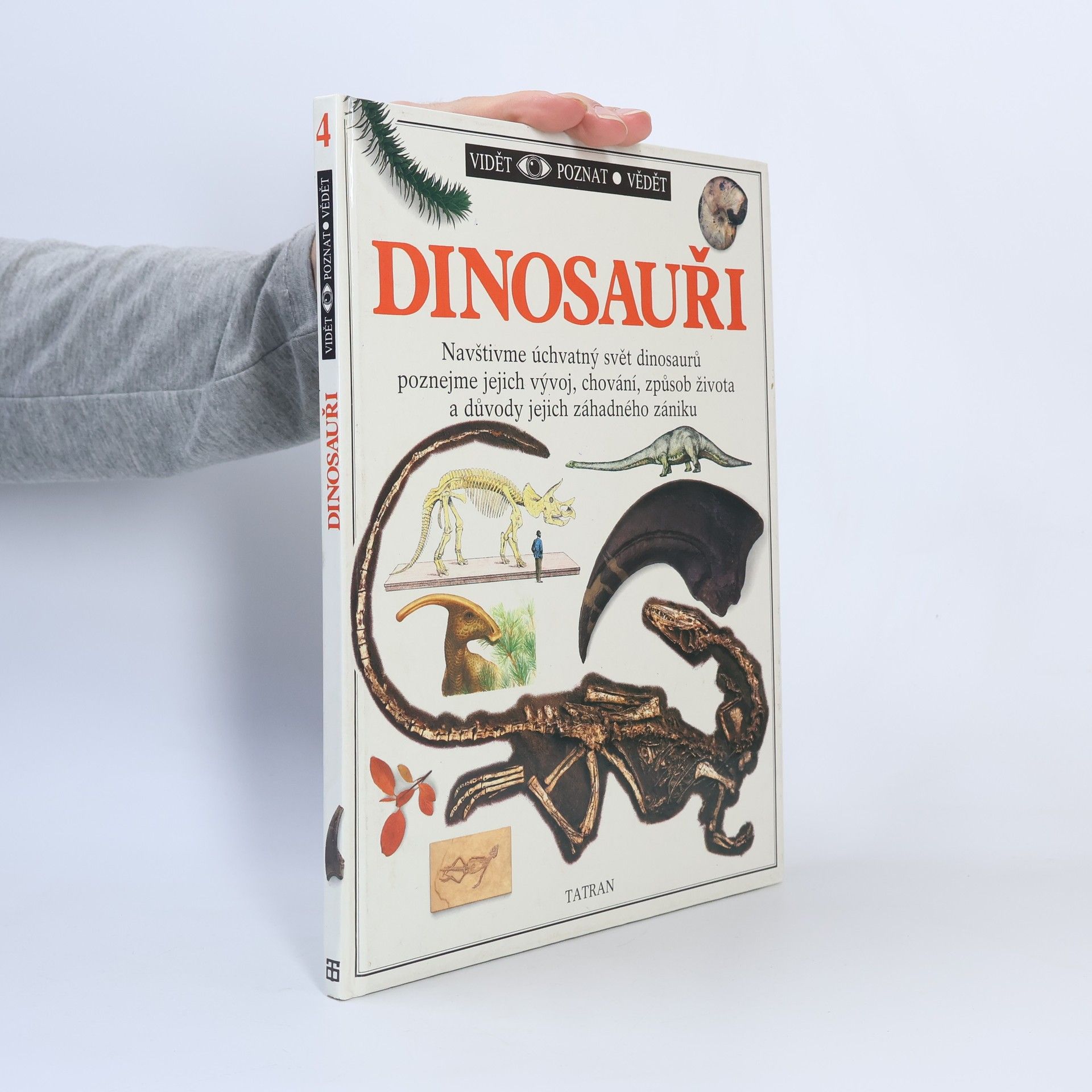 Kolektiv autorů Dinosauři