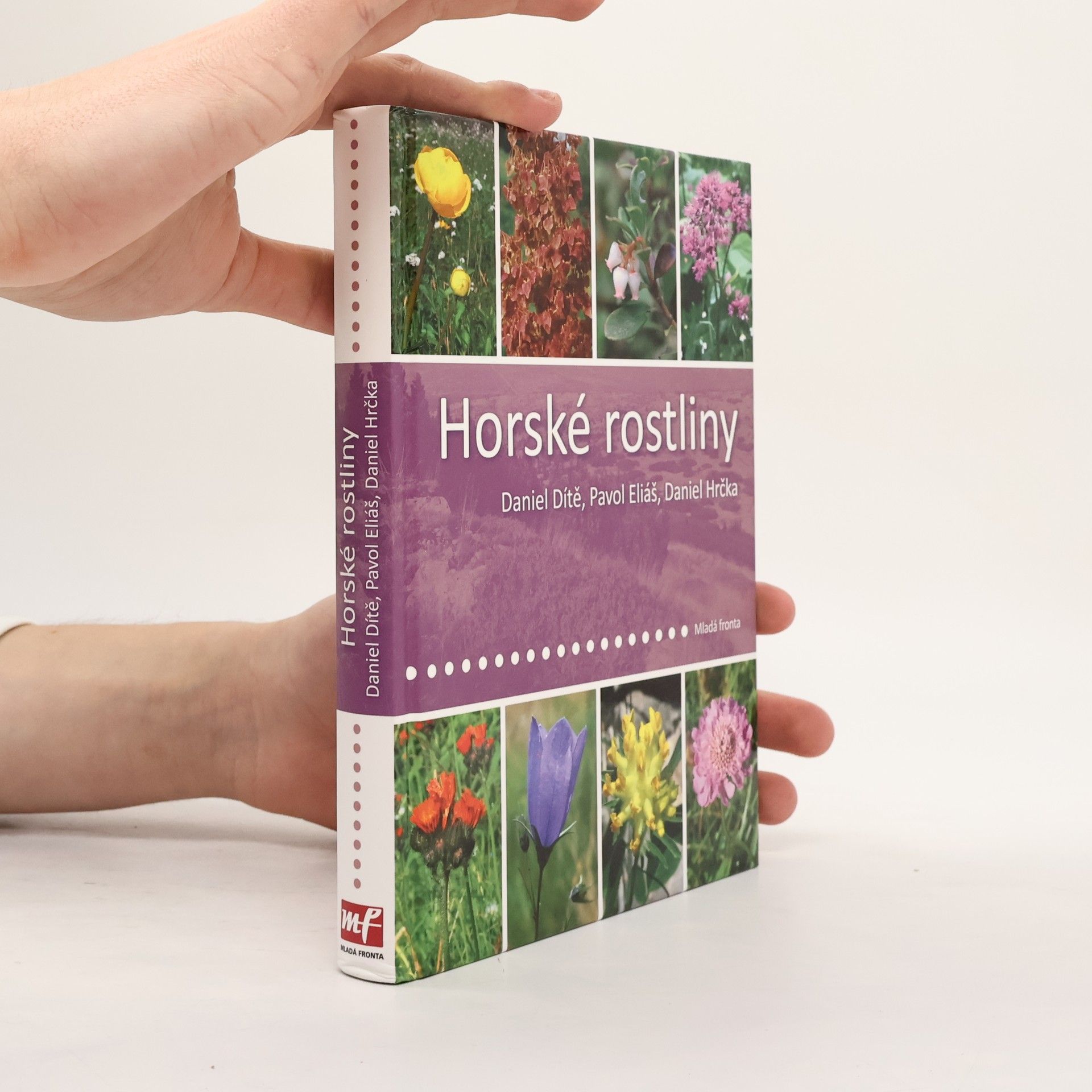 Daniel Dítě Horské rostliny