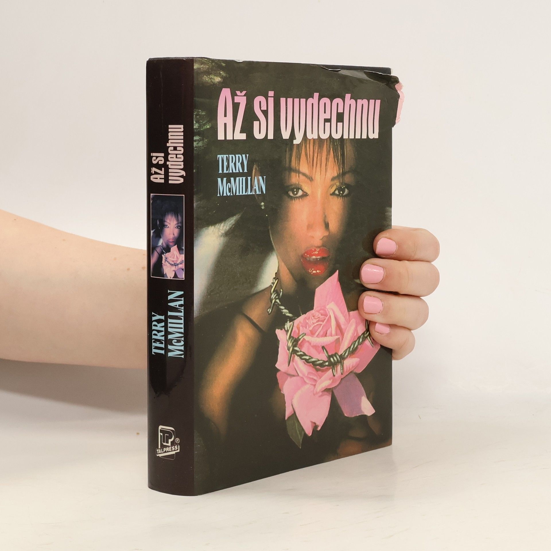 McMillan Terry Až si vydechnu