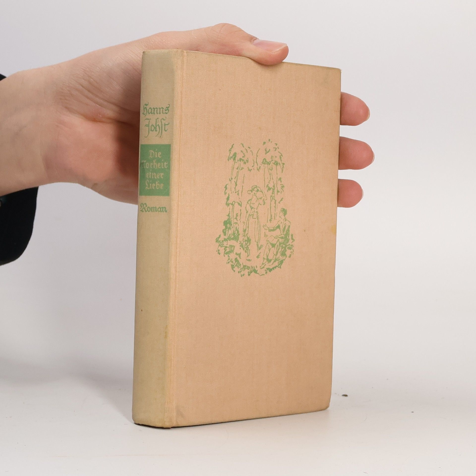 Hanns Johst Die Torheit einer Liebe