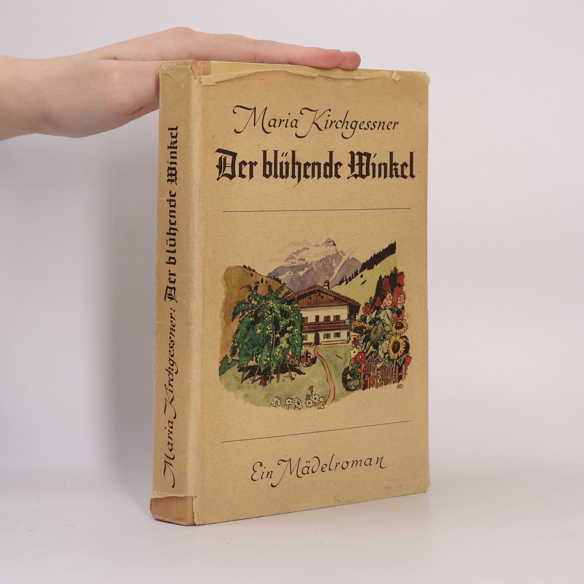 Maria Kirchgessner Der blühende Winkel