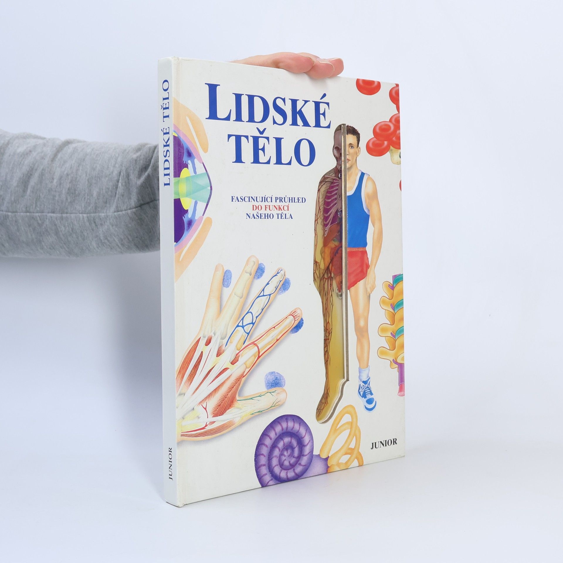 Ivo Pospíšil Lidské tělo : fascinující průhled do funkcí našeho těla