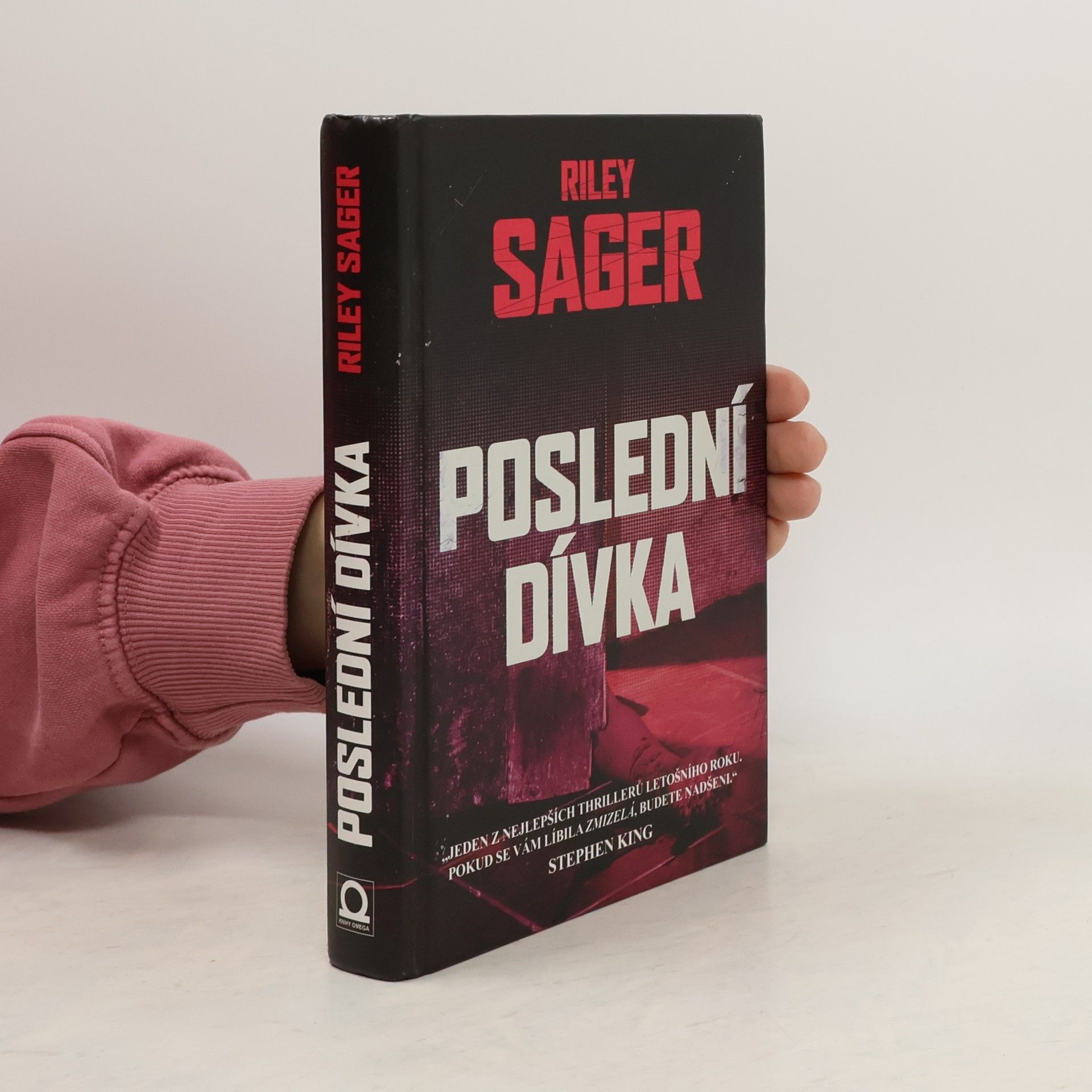 Todd Ritter Poslední dívka