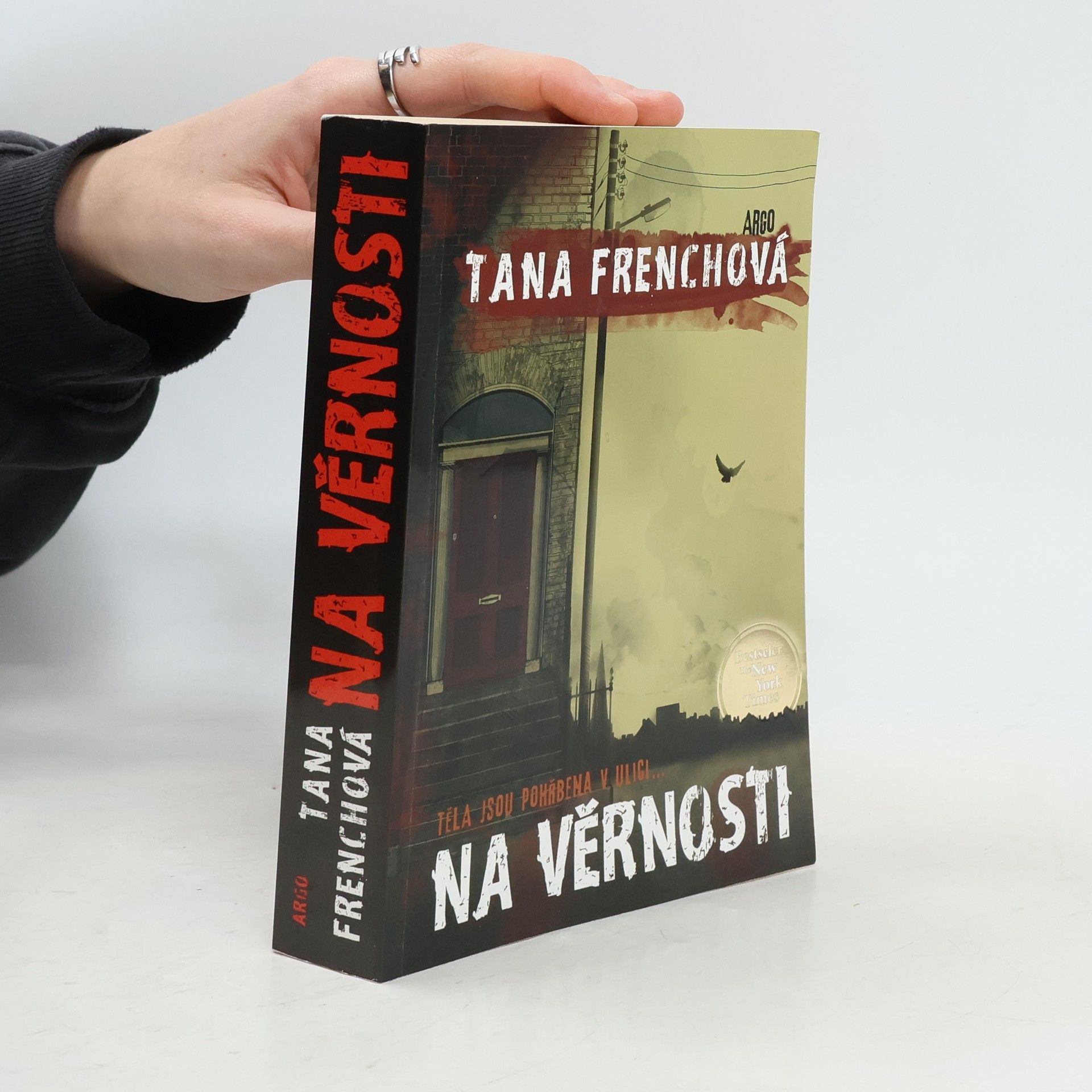 Tana French Na Věrnosti