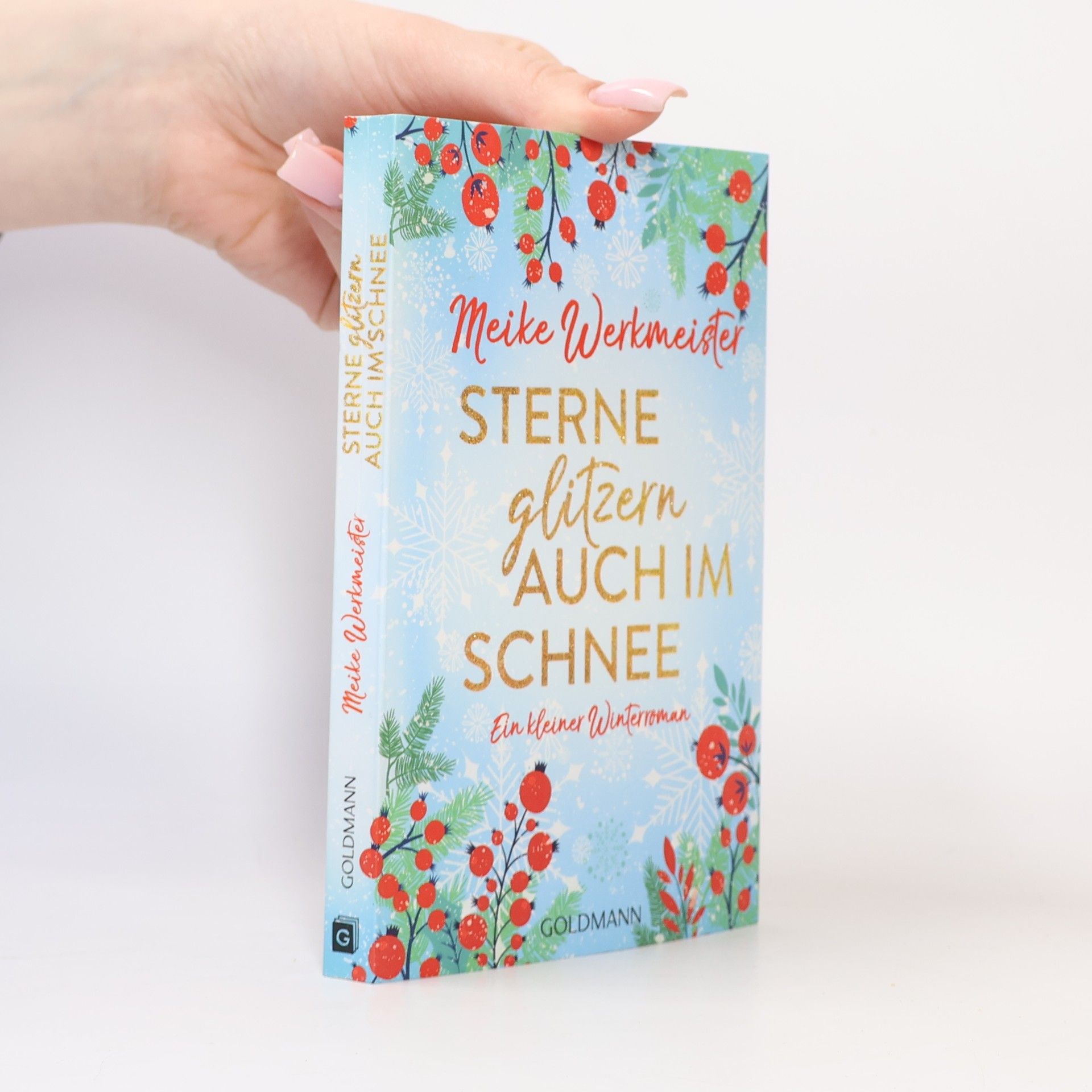 Meike Werkmeister Sterne glitzern auch im Schnee