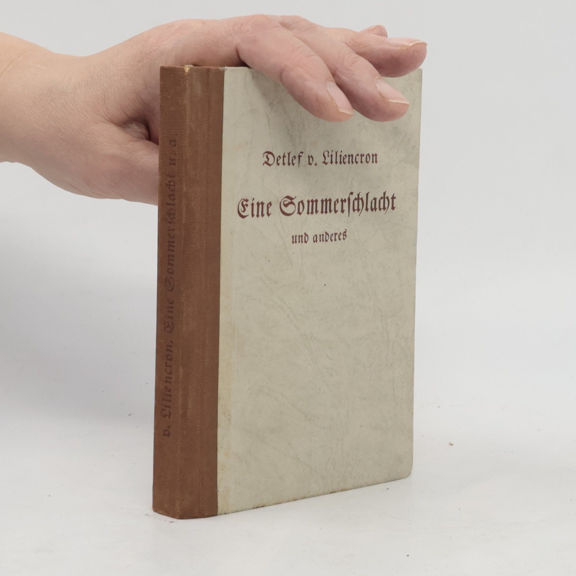 Detlev von Liliencron Eine Sommerschlacht