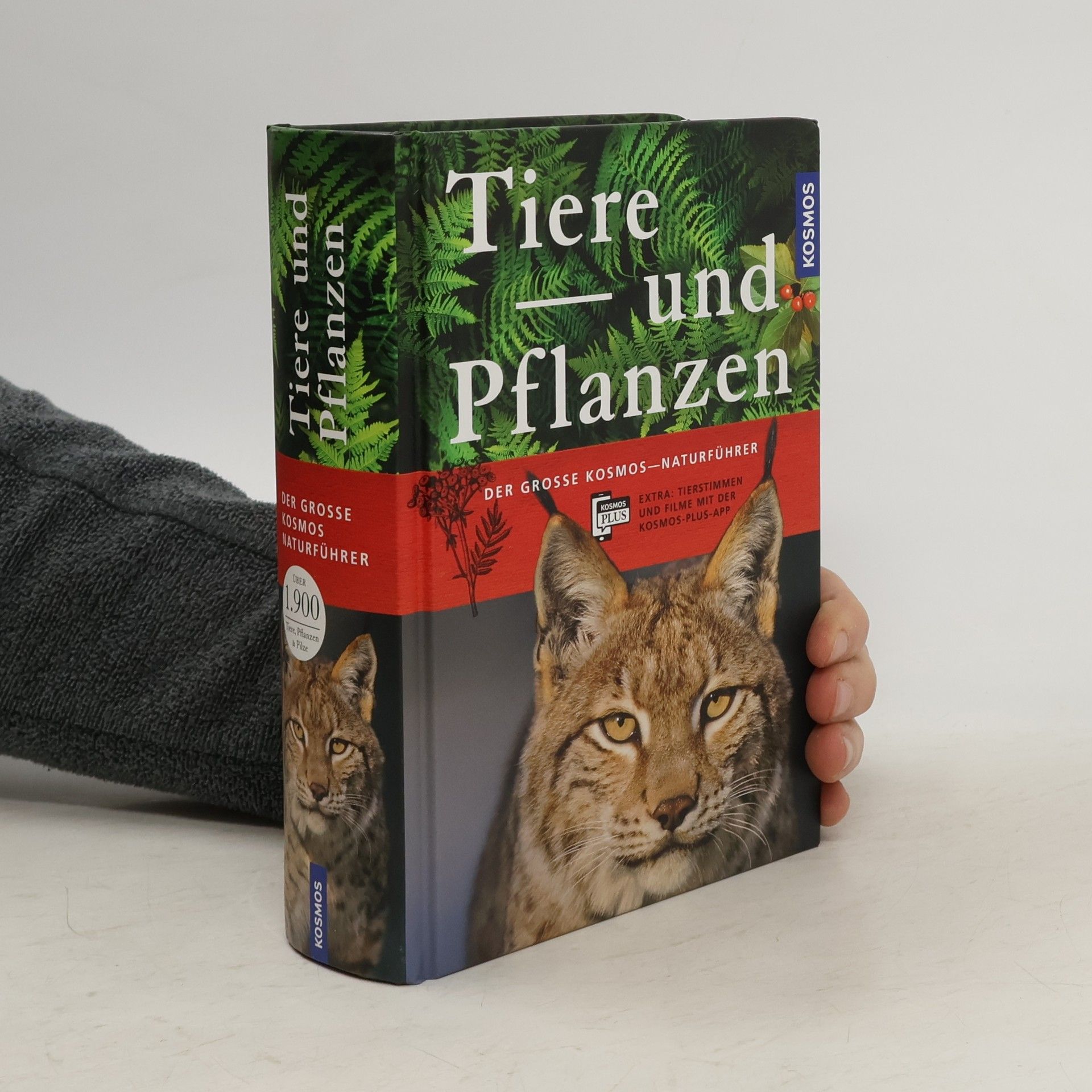 Collectif d'auteurs Tiere und Pflanzen