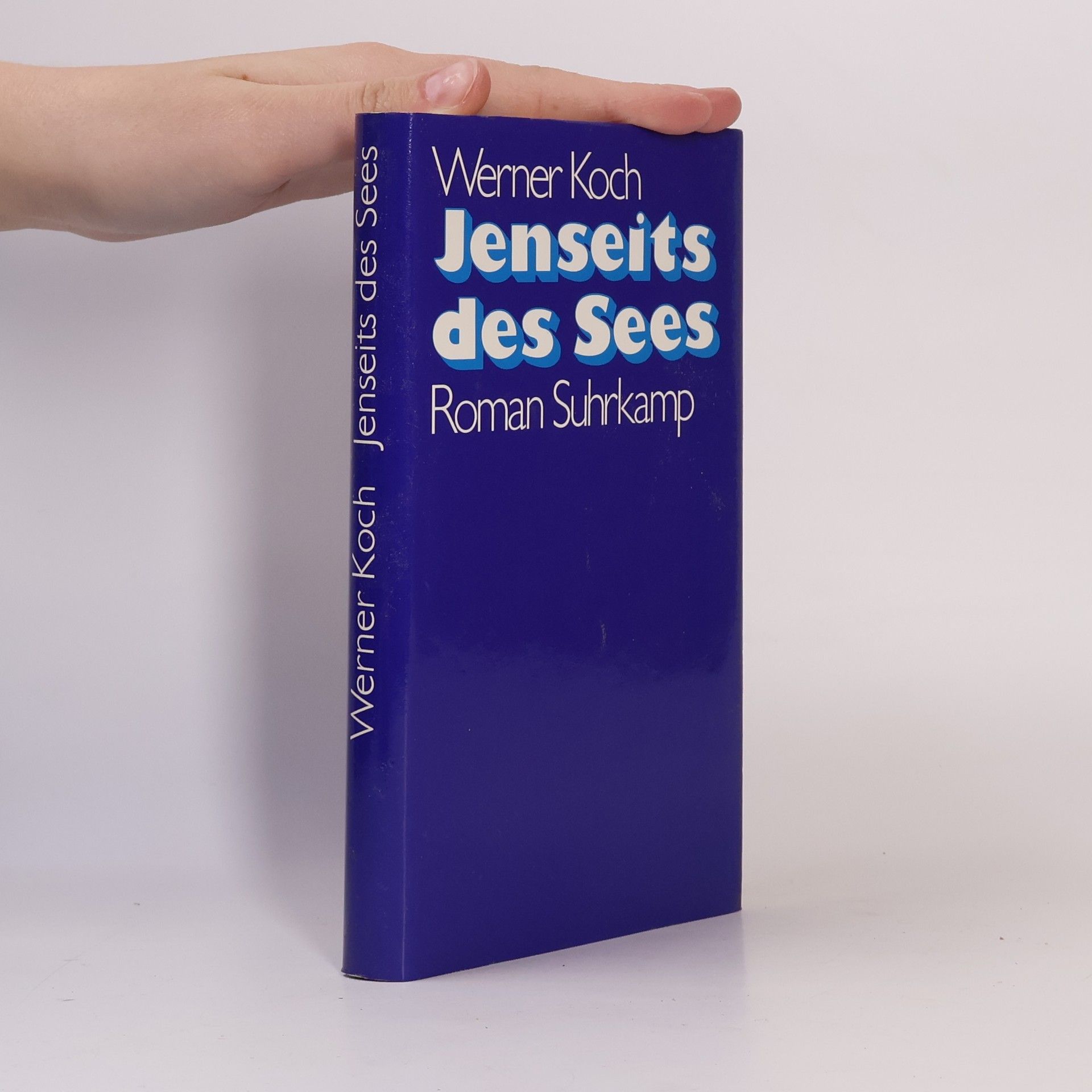 Jenseits des Sees