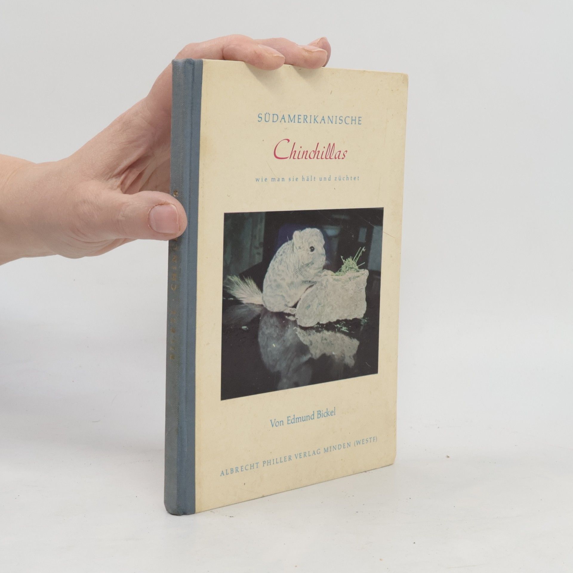 Edmund Bickel Südamerikanische Chinchillas