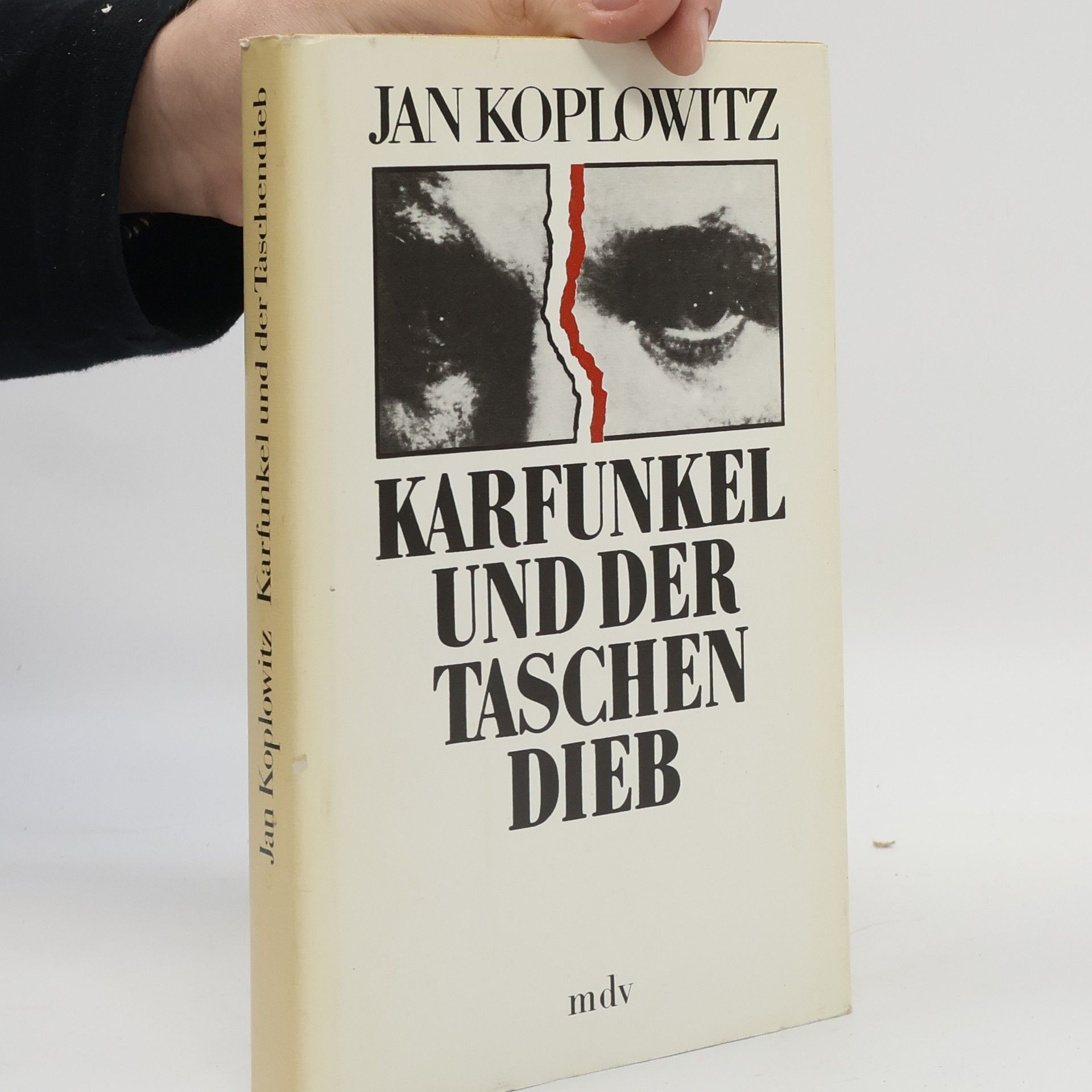 Jan Koplowitz Karfunkel und der Taschendieb