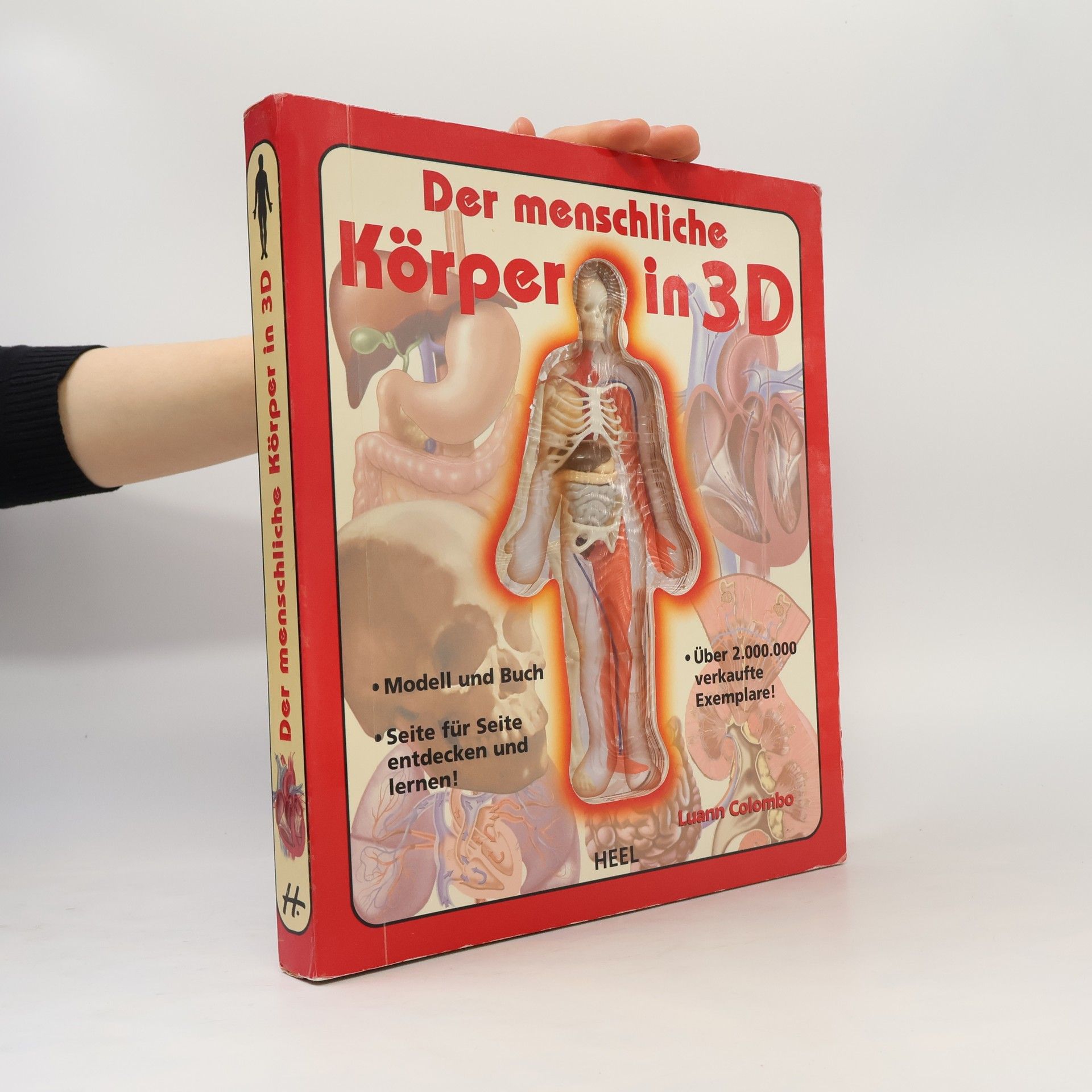 Luann Colombo Der menschliche Körper in 3D