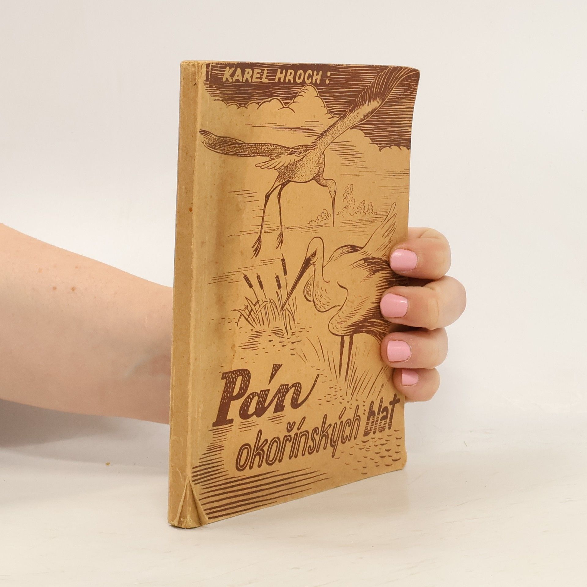 Pán okořínských blat