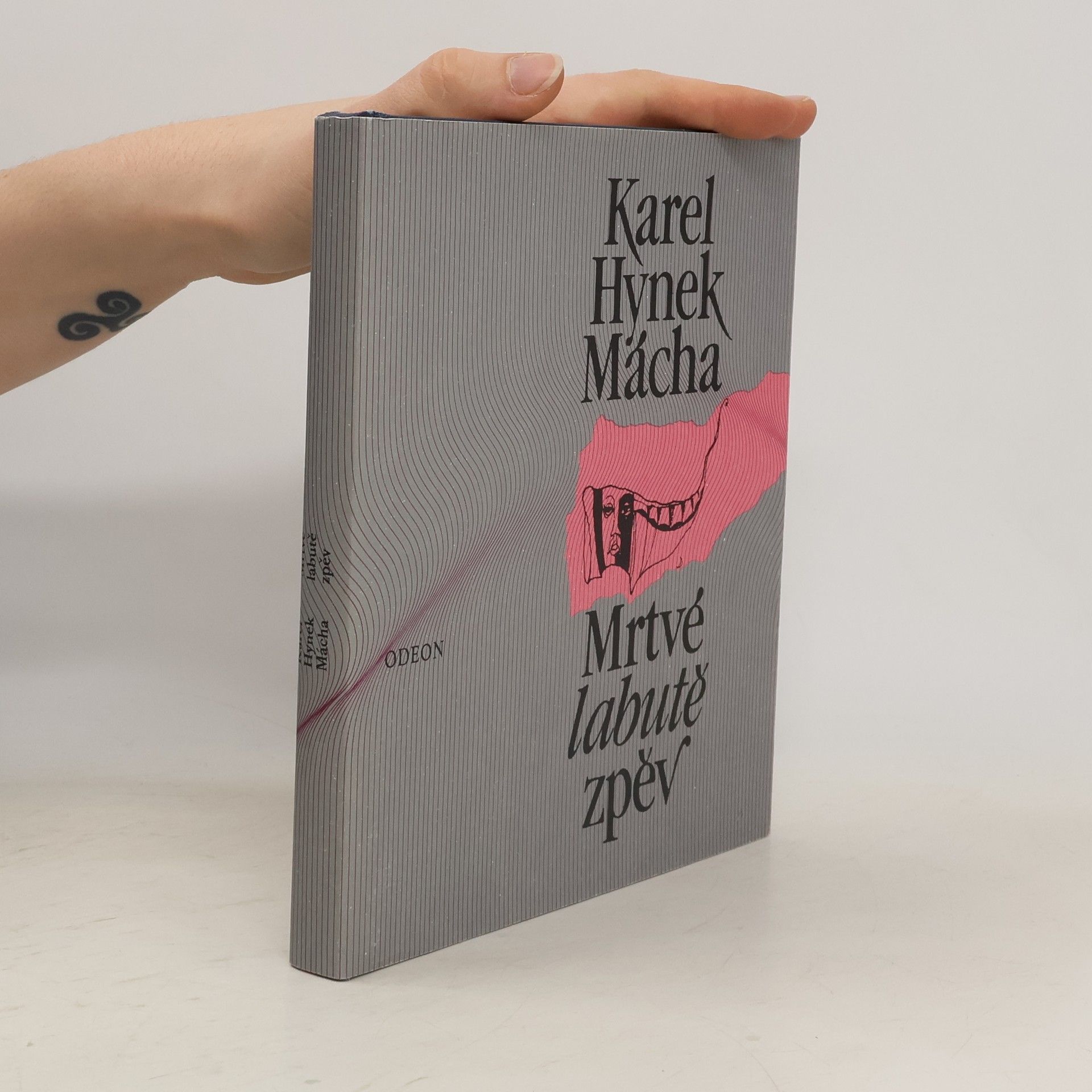 Karel Hynek Mácha Mrtvé labutě zpěv