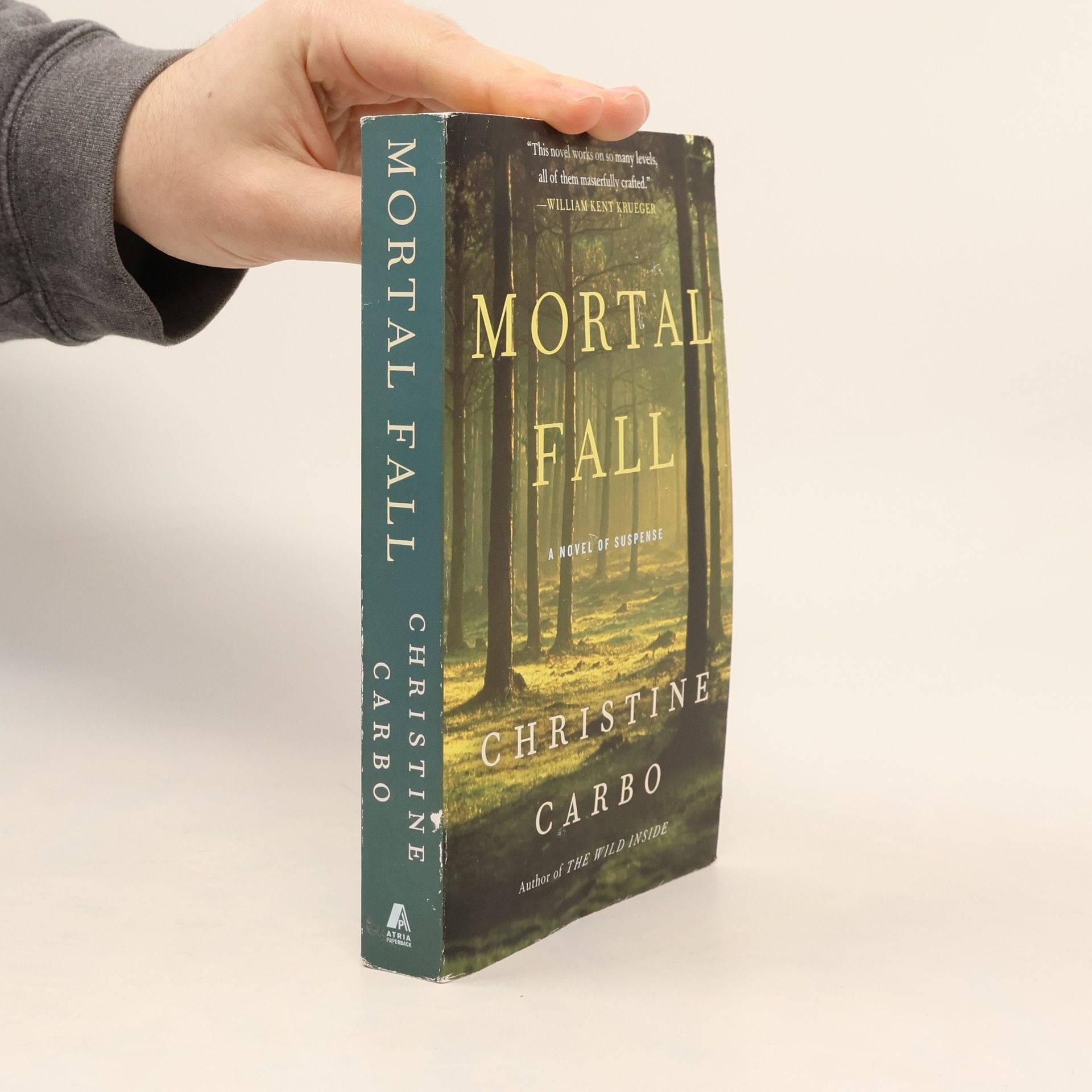 Christine Carbo Glacier Mystery Series - 2: Mortal Fall