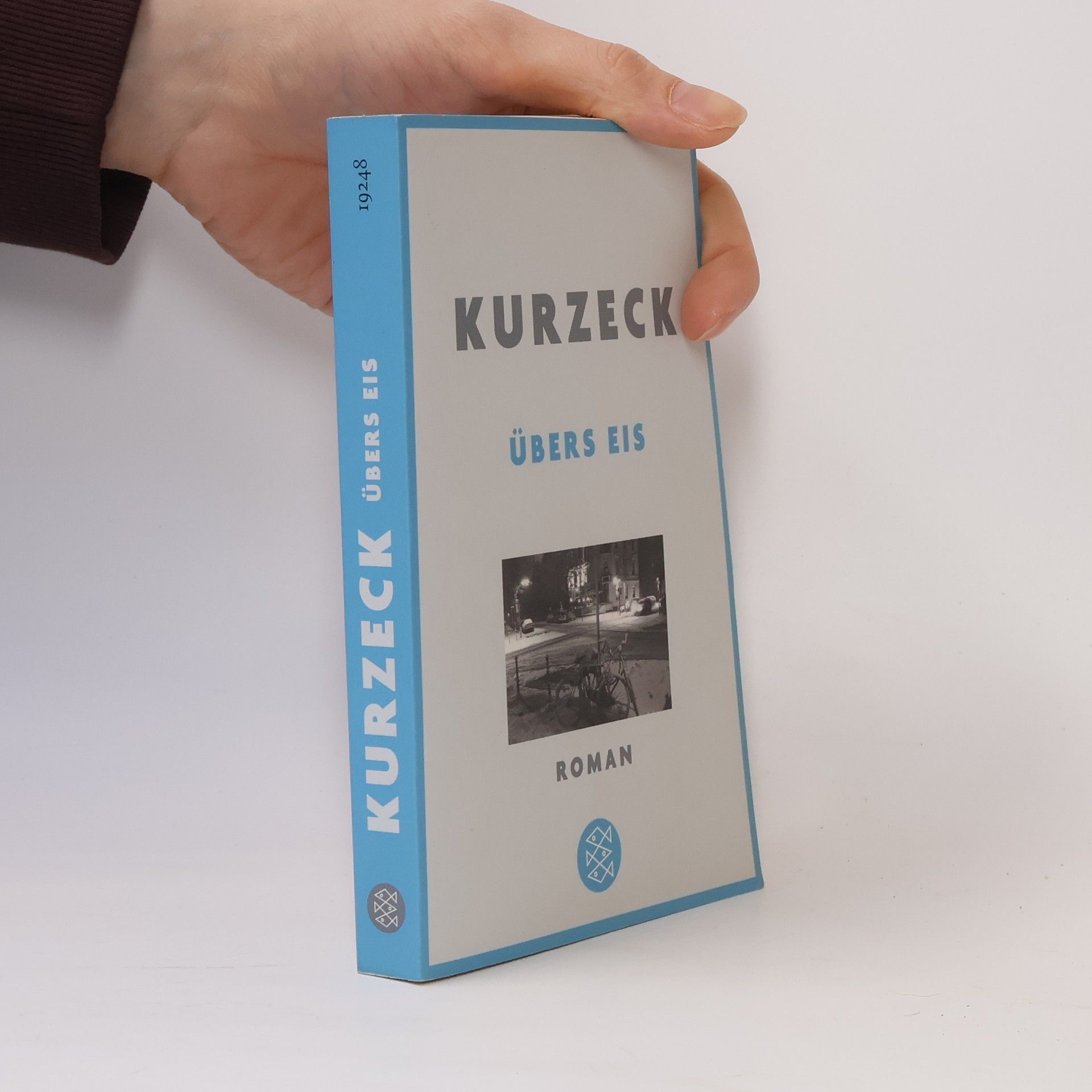 Peter Kurzeck Übers Eis